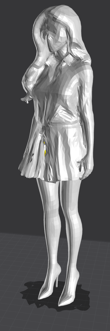 A Young Elegant Woman
