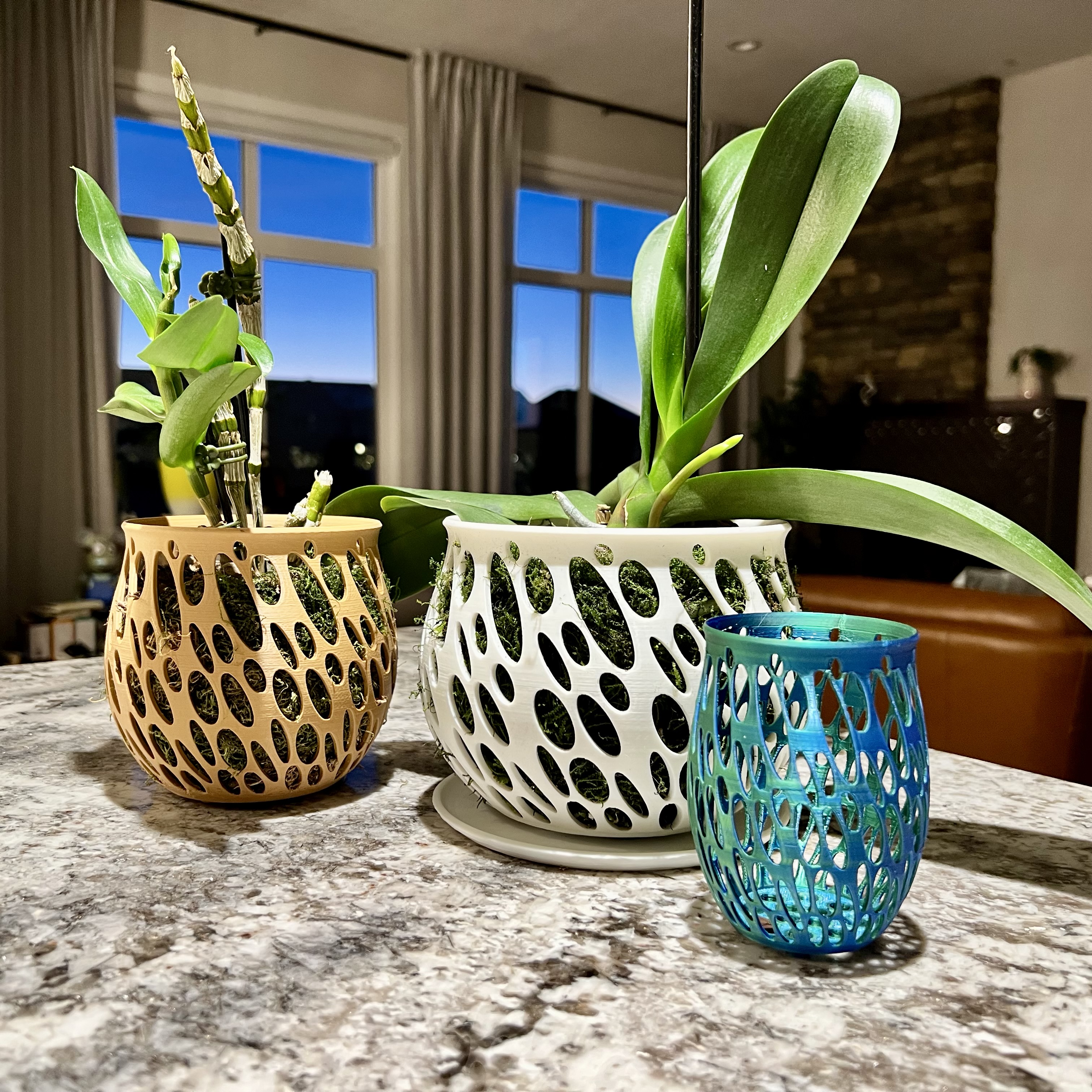 Orchid Pot