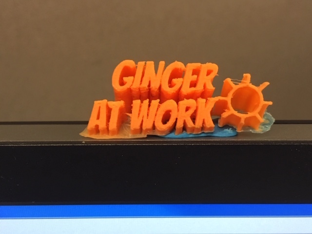 Ginger at work