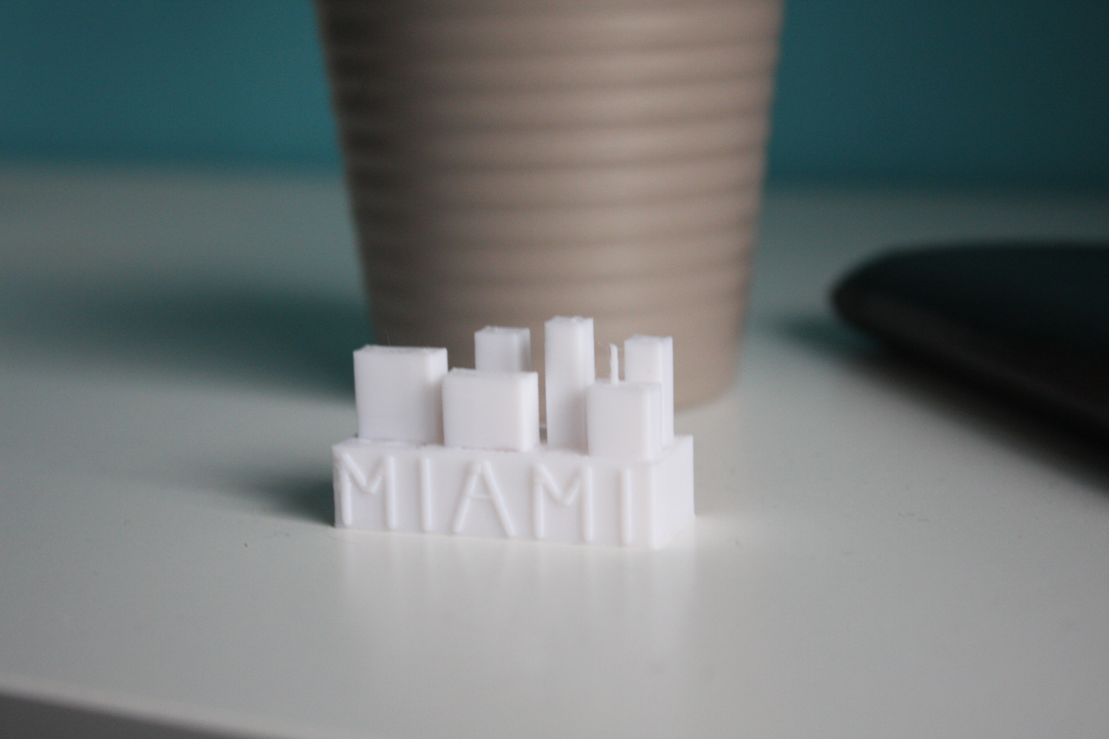 Miami Souvenir