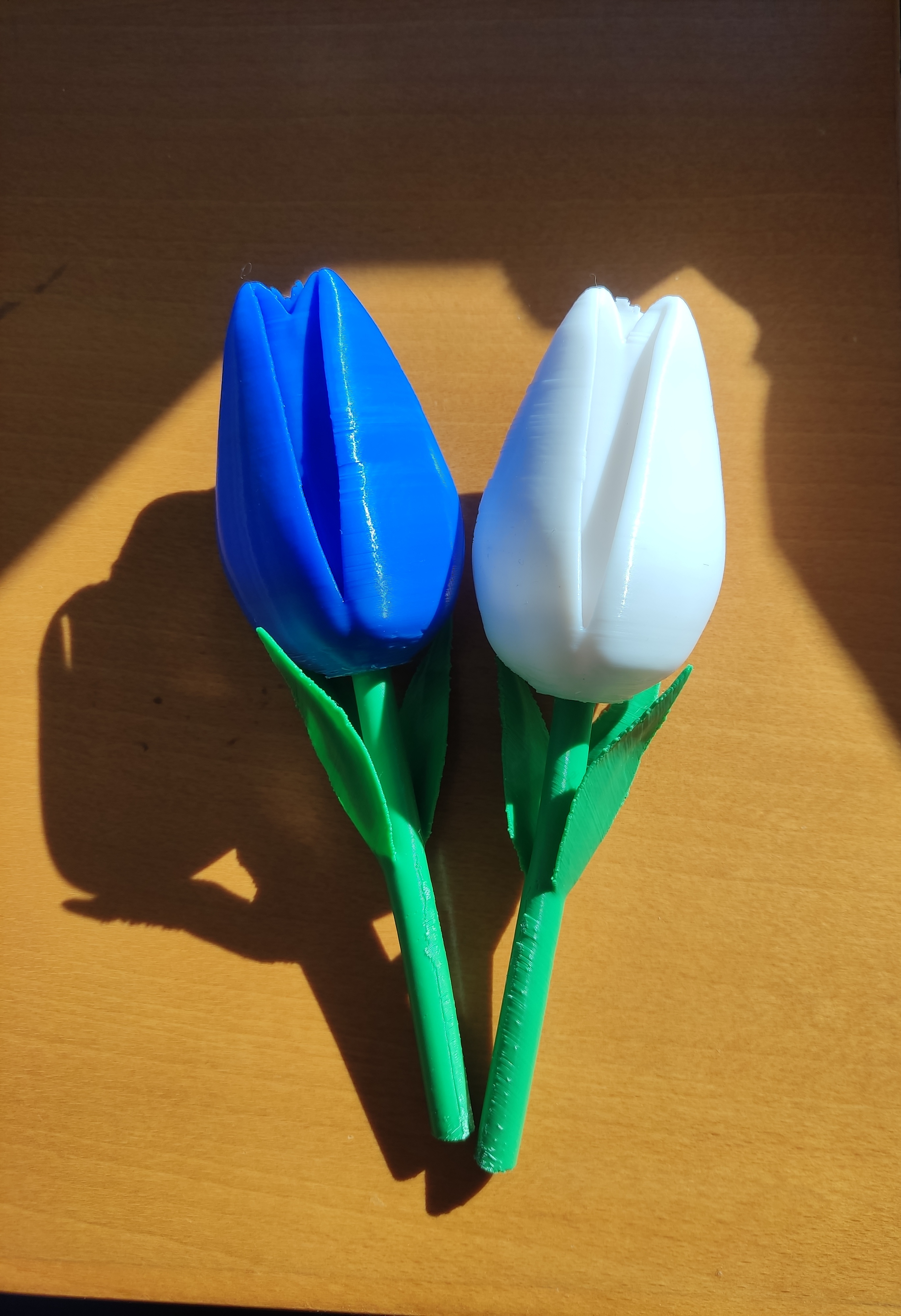 Tulip flower valentines gift