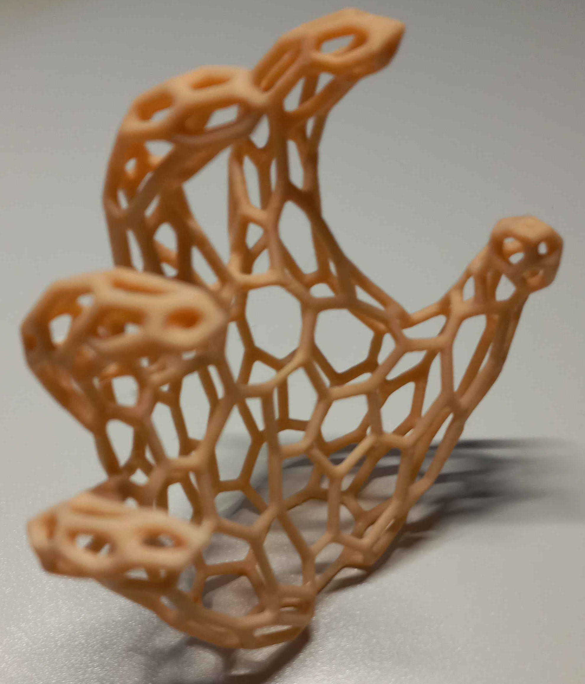 Miniatura 2 do modelo 3D Human Hand Voronoi