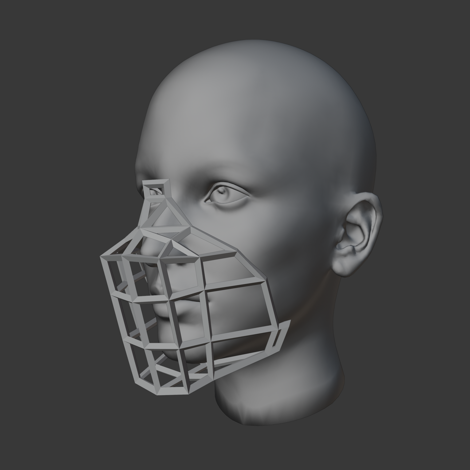 Human Muzzle Box Style (V2)