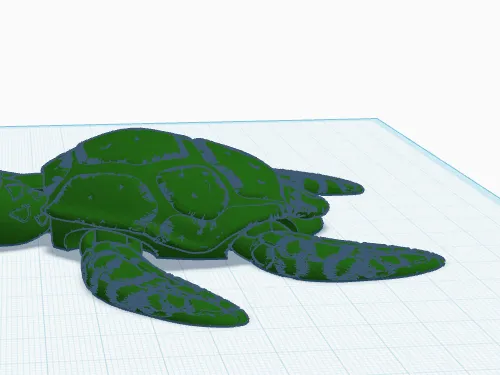 turtle