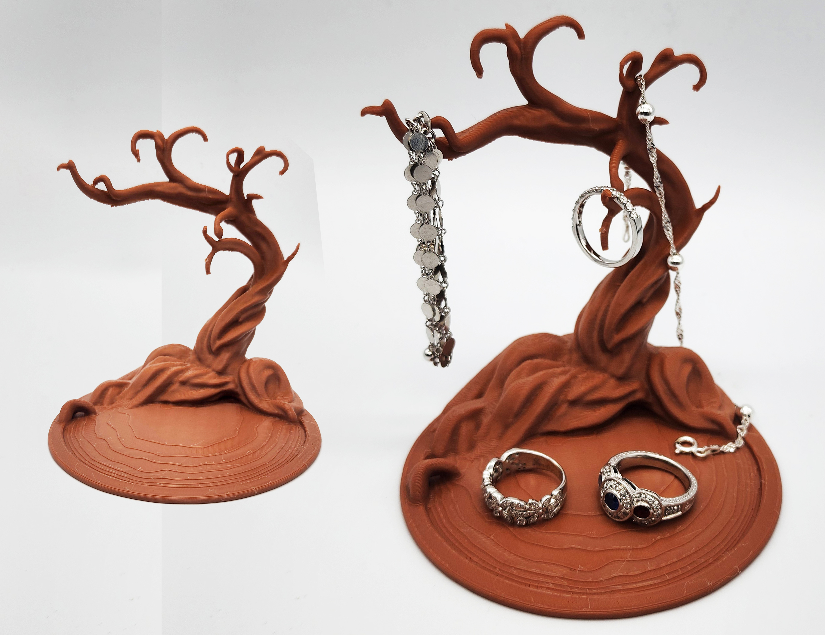 Namibian Acacia Jewelry Tree