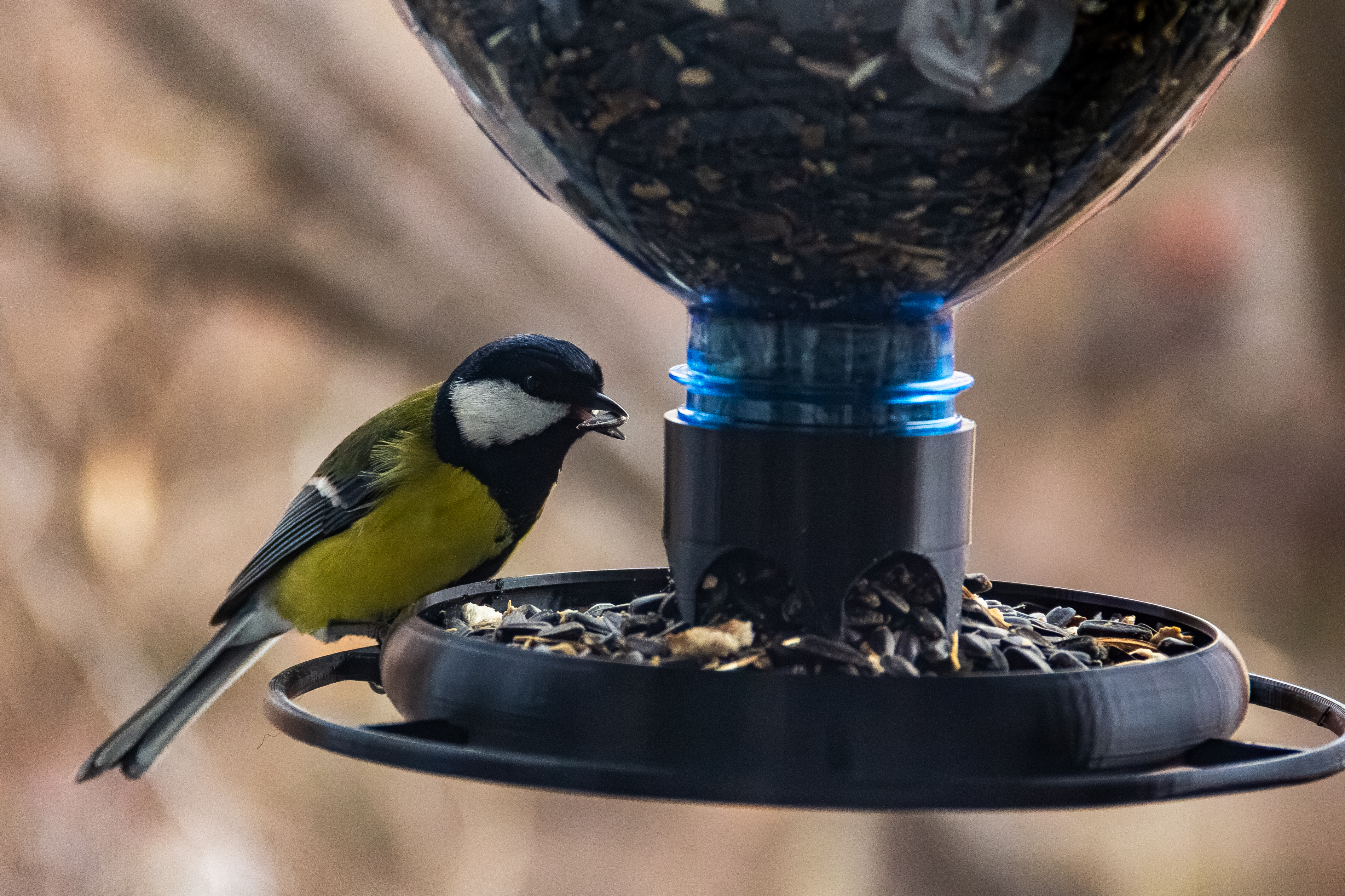 Bird Feeder for a bottle (48mm and 28mm threads)