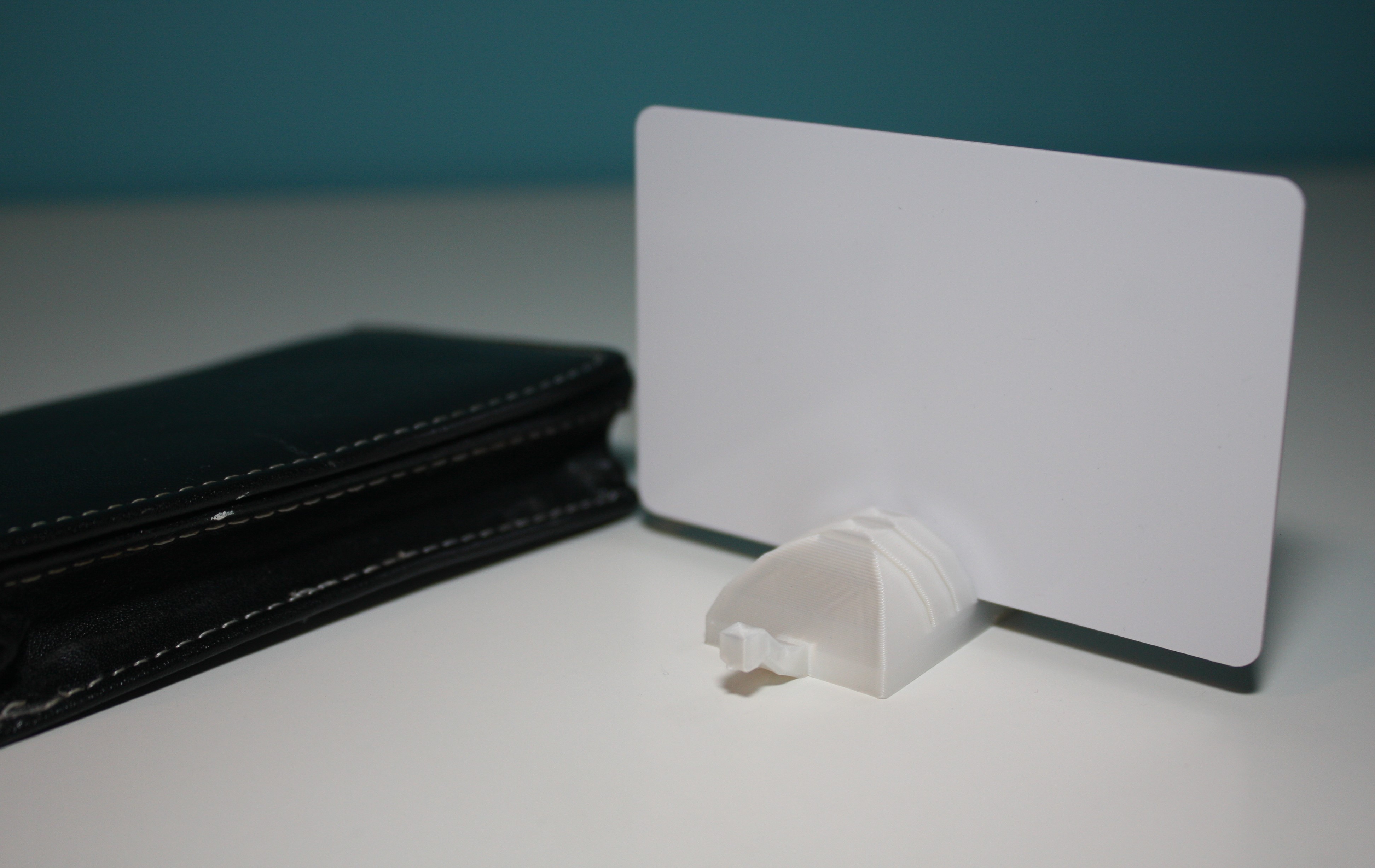 Cute Turtle Card Holder