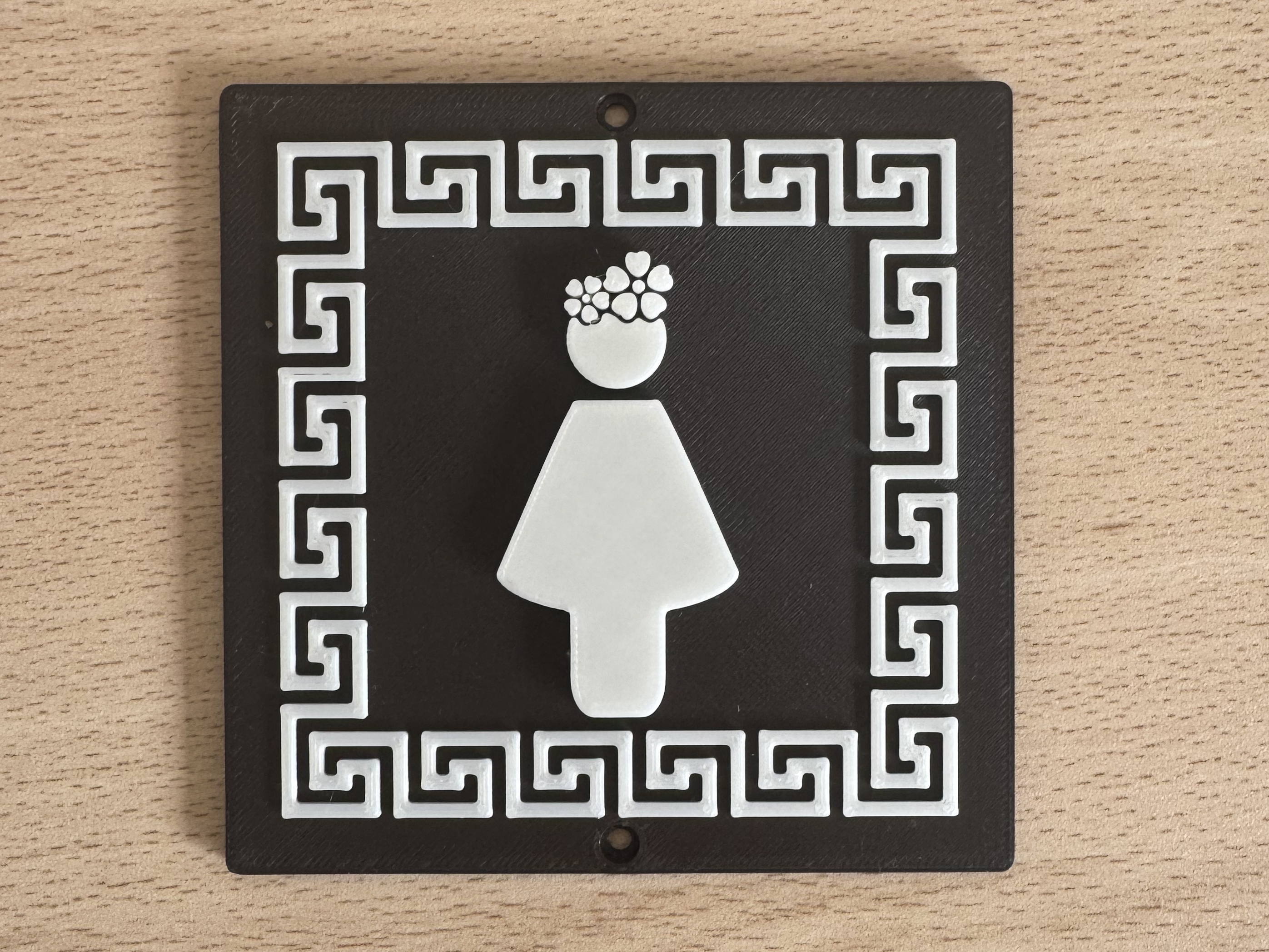 Women's Restroom Sign - Ladies' Toilet Door Plate