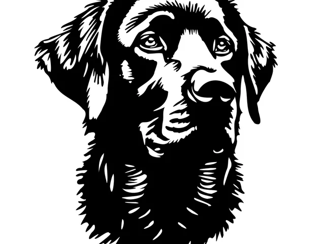 Labrador Wall Art