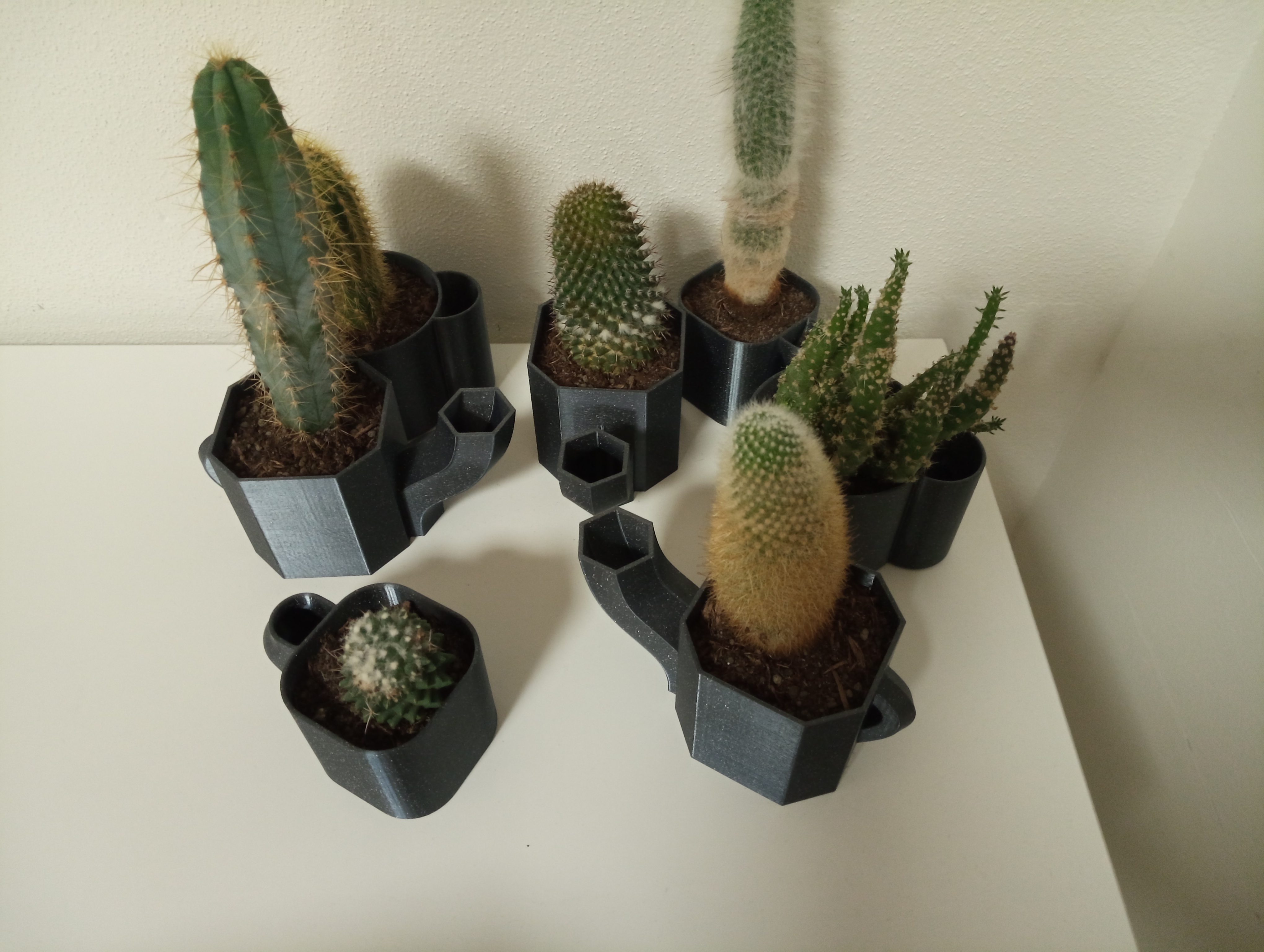 Bottom watered Flower pots/planters