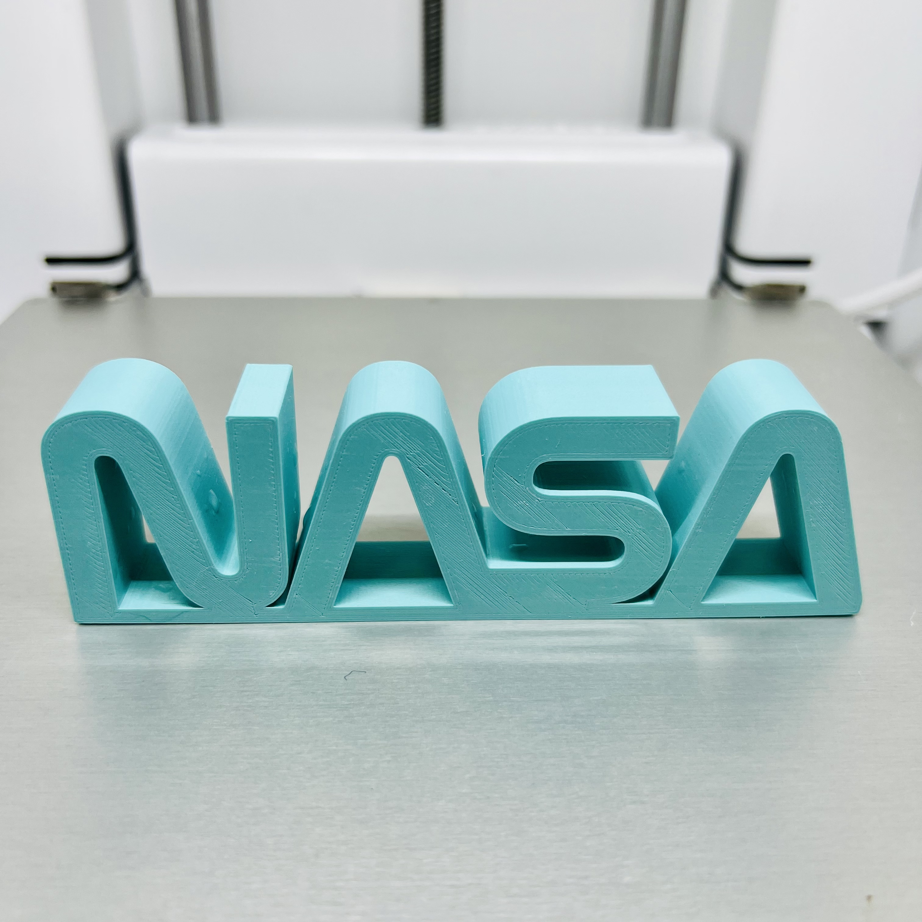 NASA Worm Logo