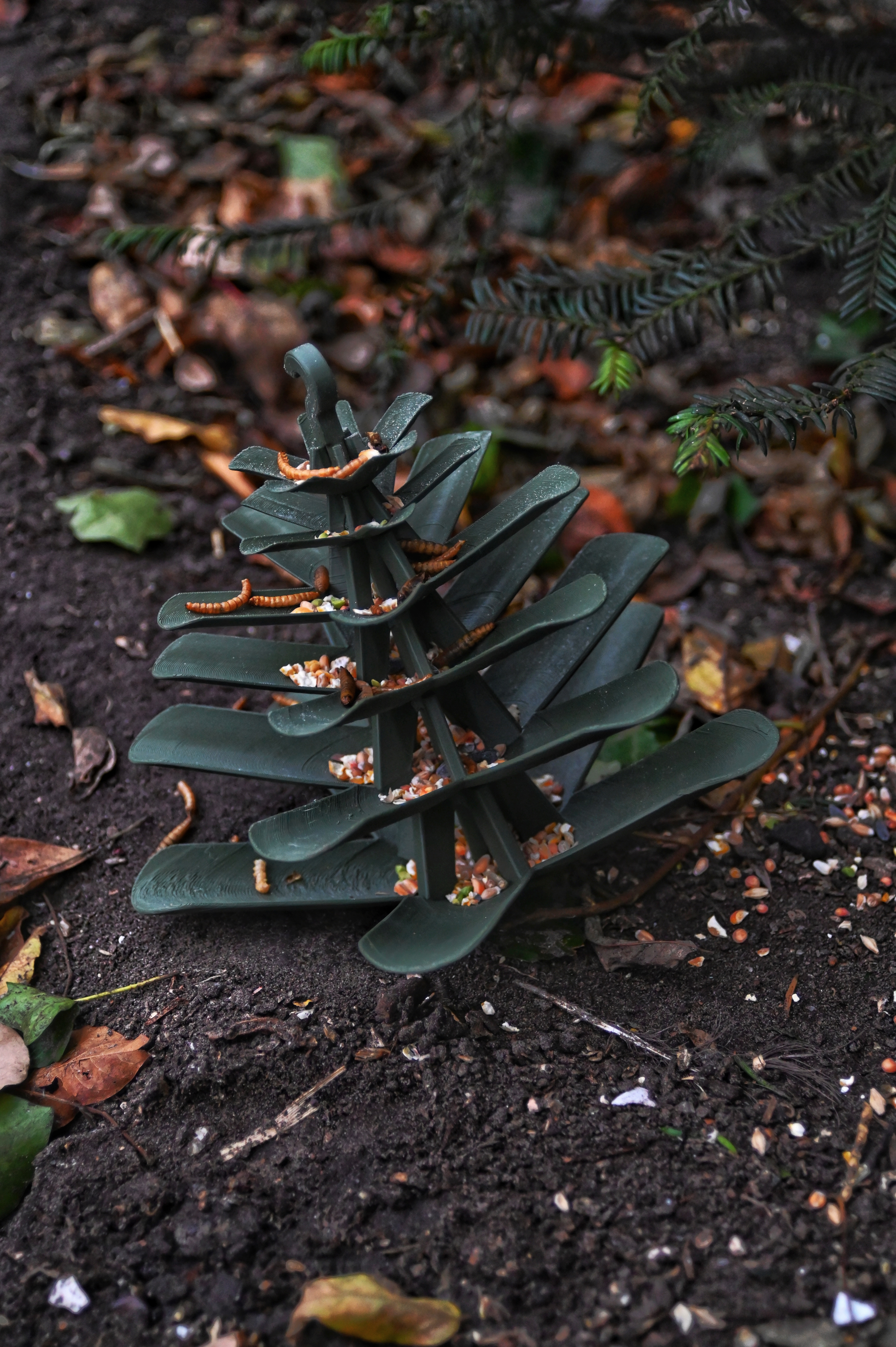Birdfeeder pinecone