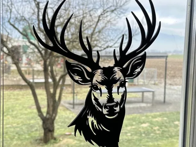 Deer