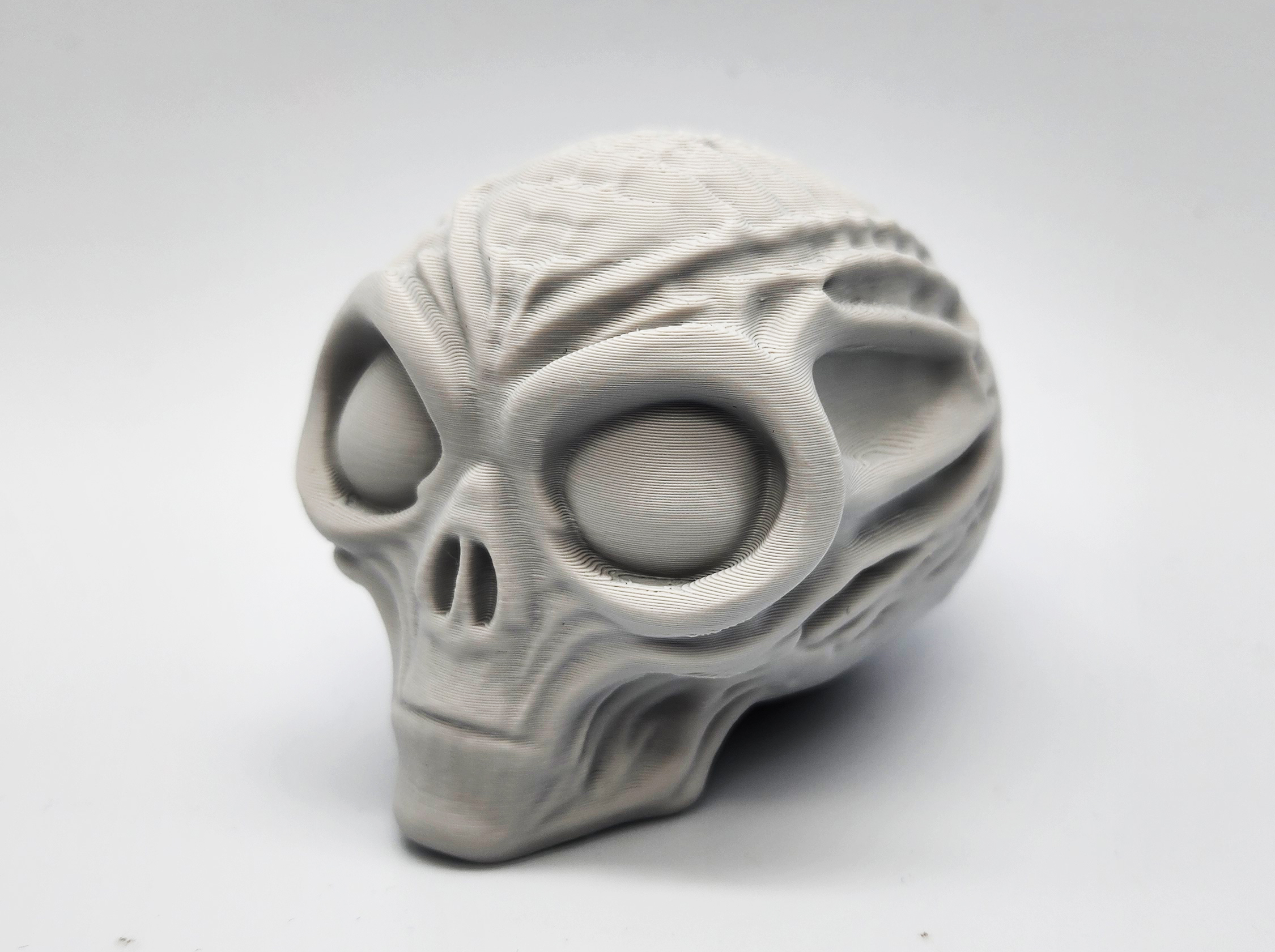 Mummified Alien Skull