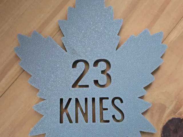 Toronto Maple Leafs Matthew Knies Coaster