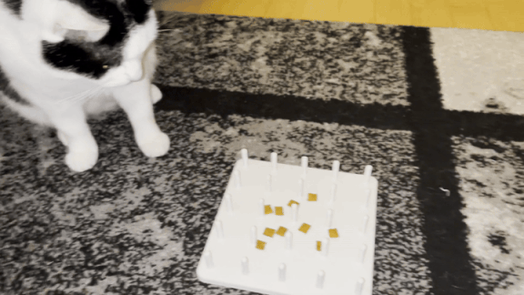 Goodie toy for cats