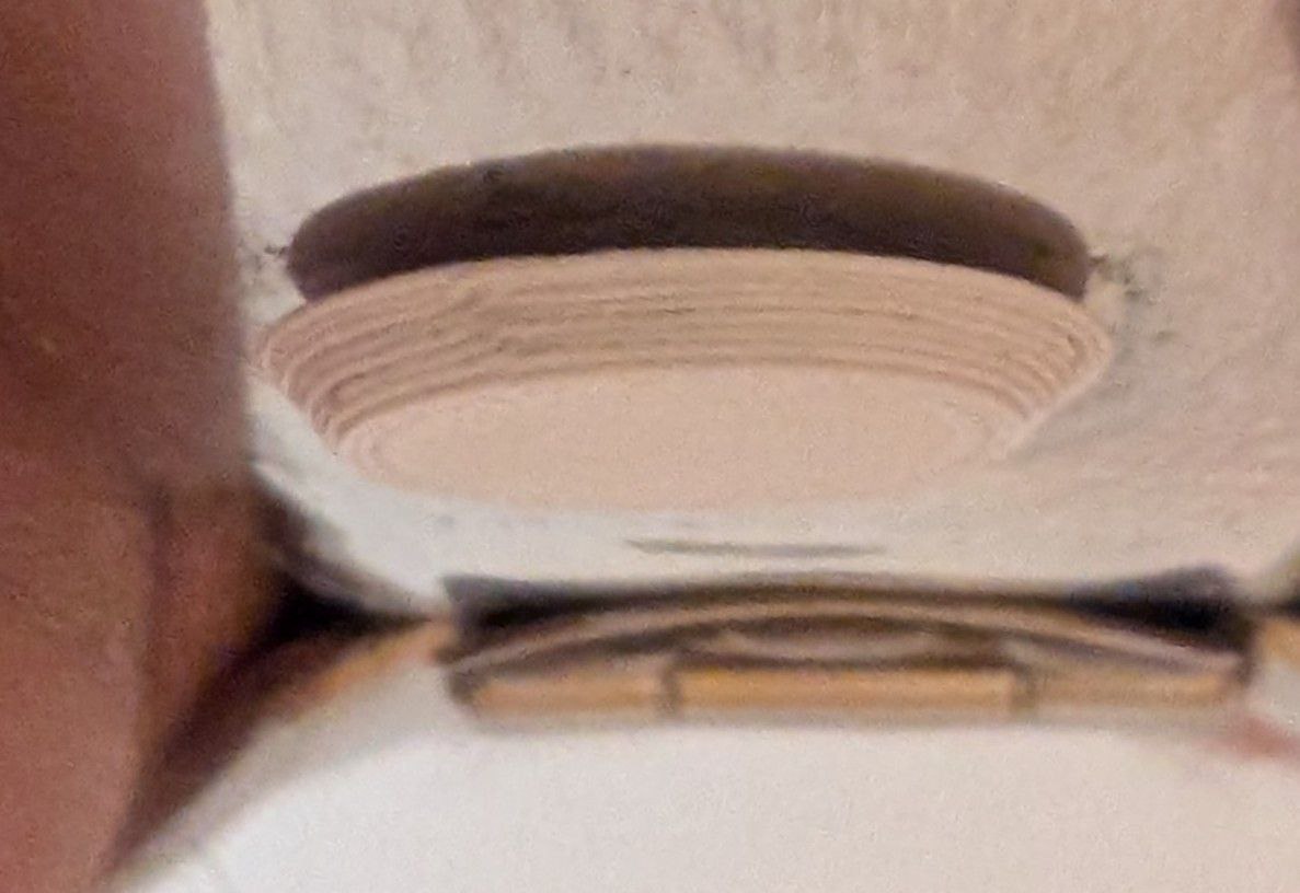 Latowski plug