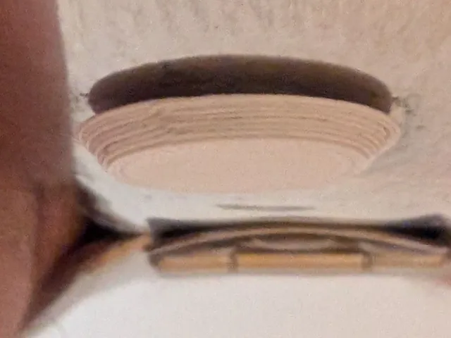 Latowski plug