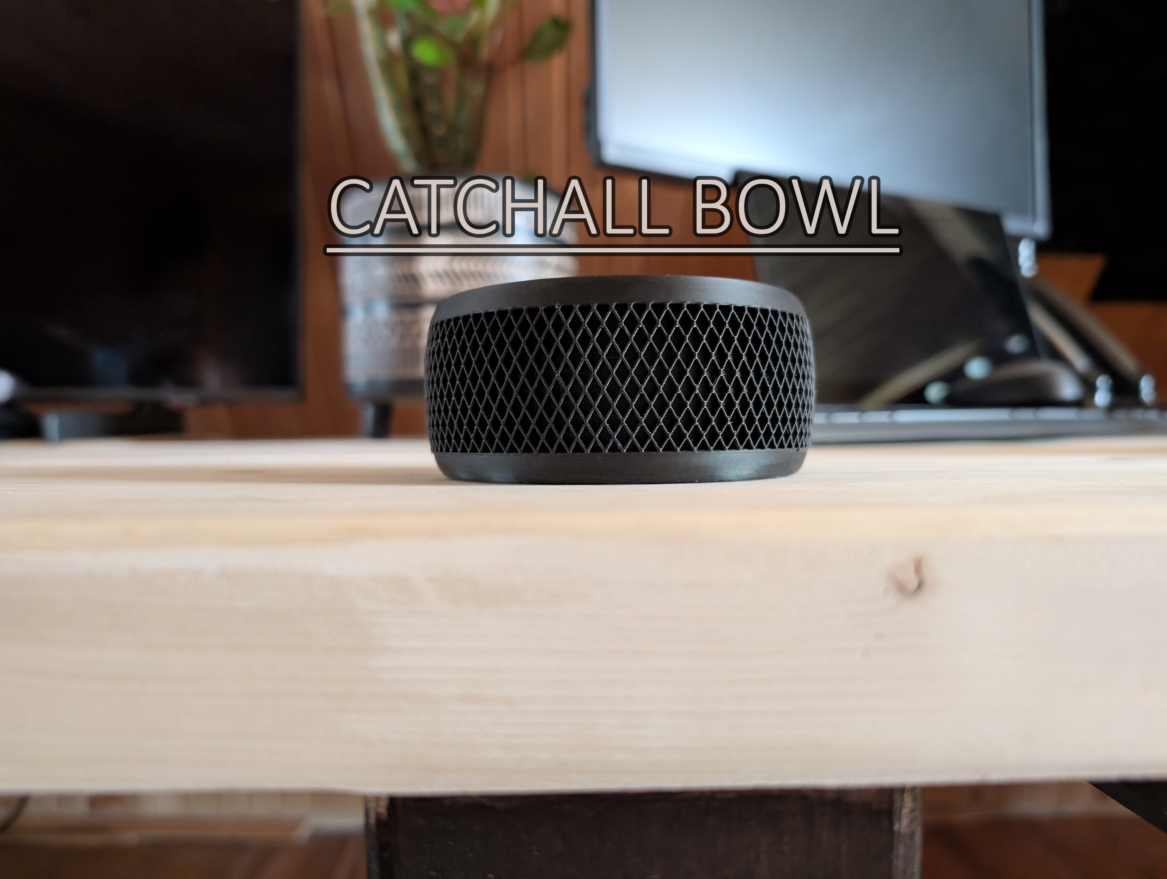 Catchall Bowl - Plant Pot