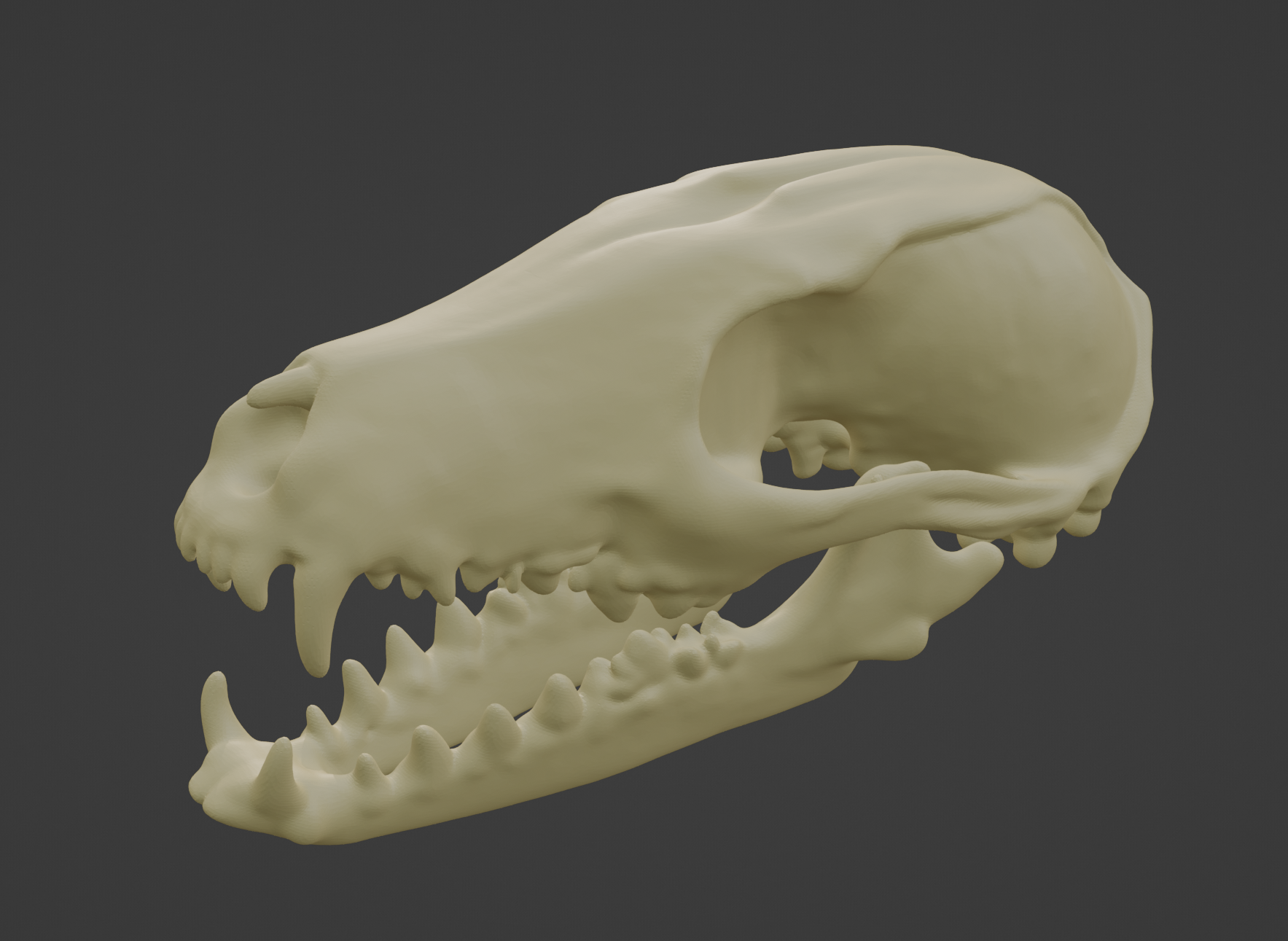 Red Fox Skull (2 pieces)