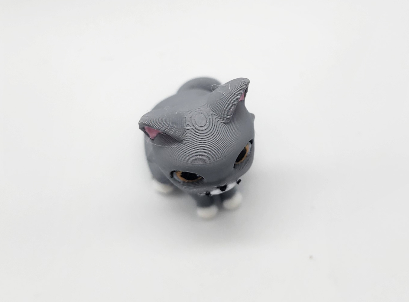 Dexter Cat — miniatura 2