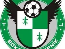 tj sokol hořepník logo