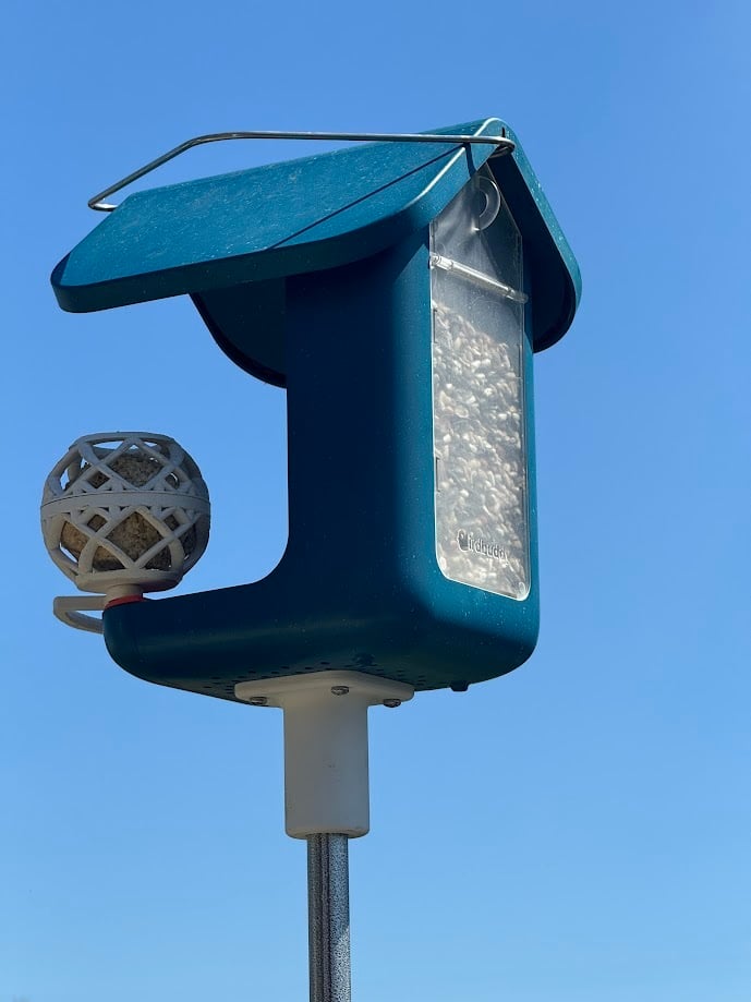 Bird Buddy 1/2" EMT Pole Mount
