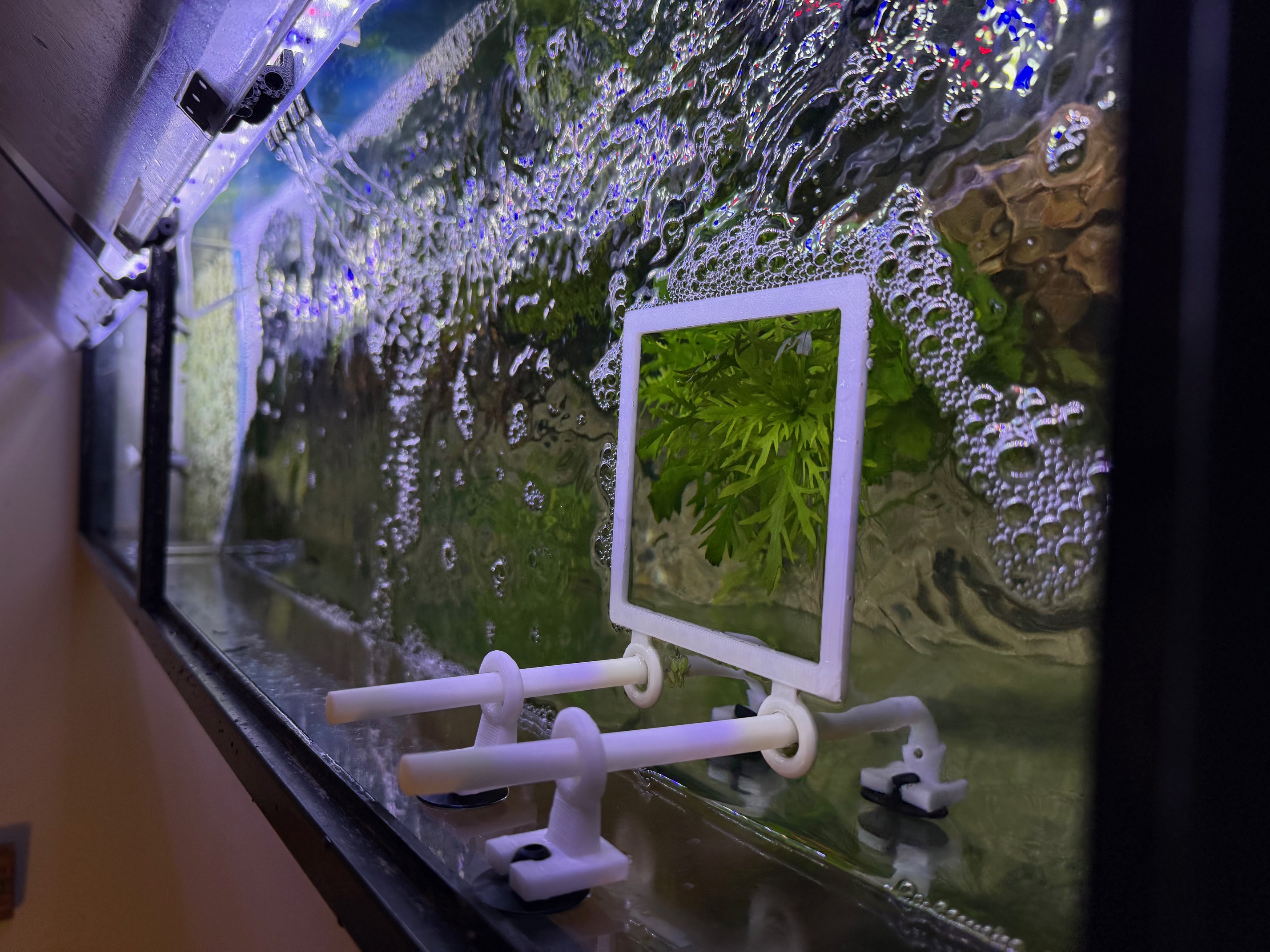 Floating Auto-Leveling Aquatic Plant Barricade Kit