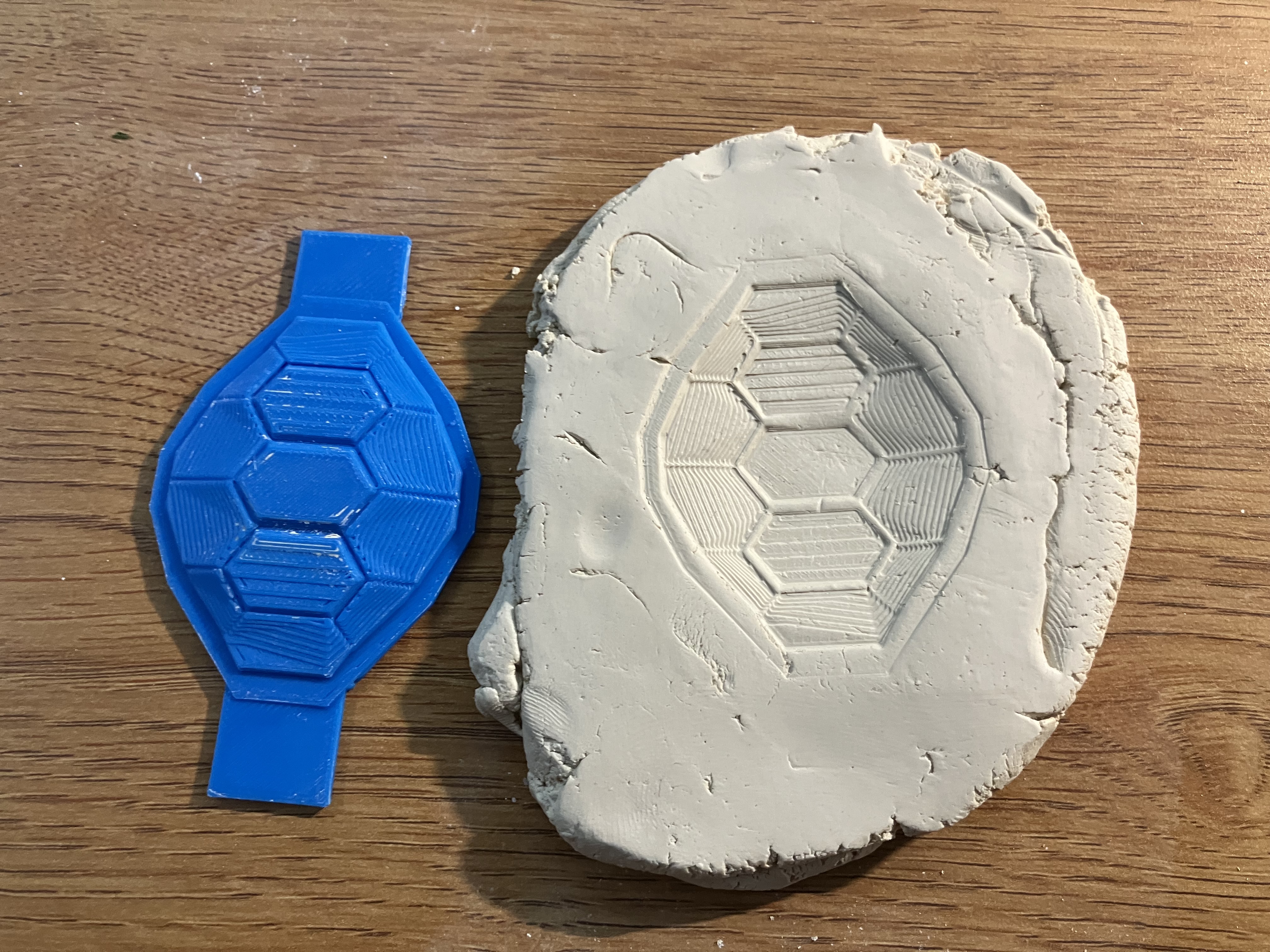 Turtle Shell Clay Stamp