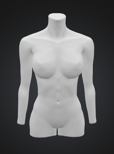 Female Torso