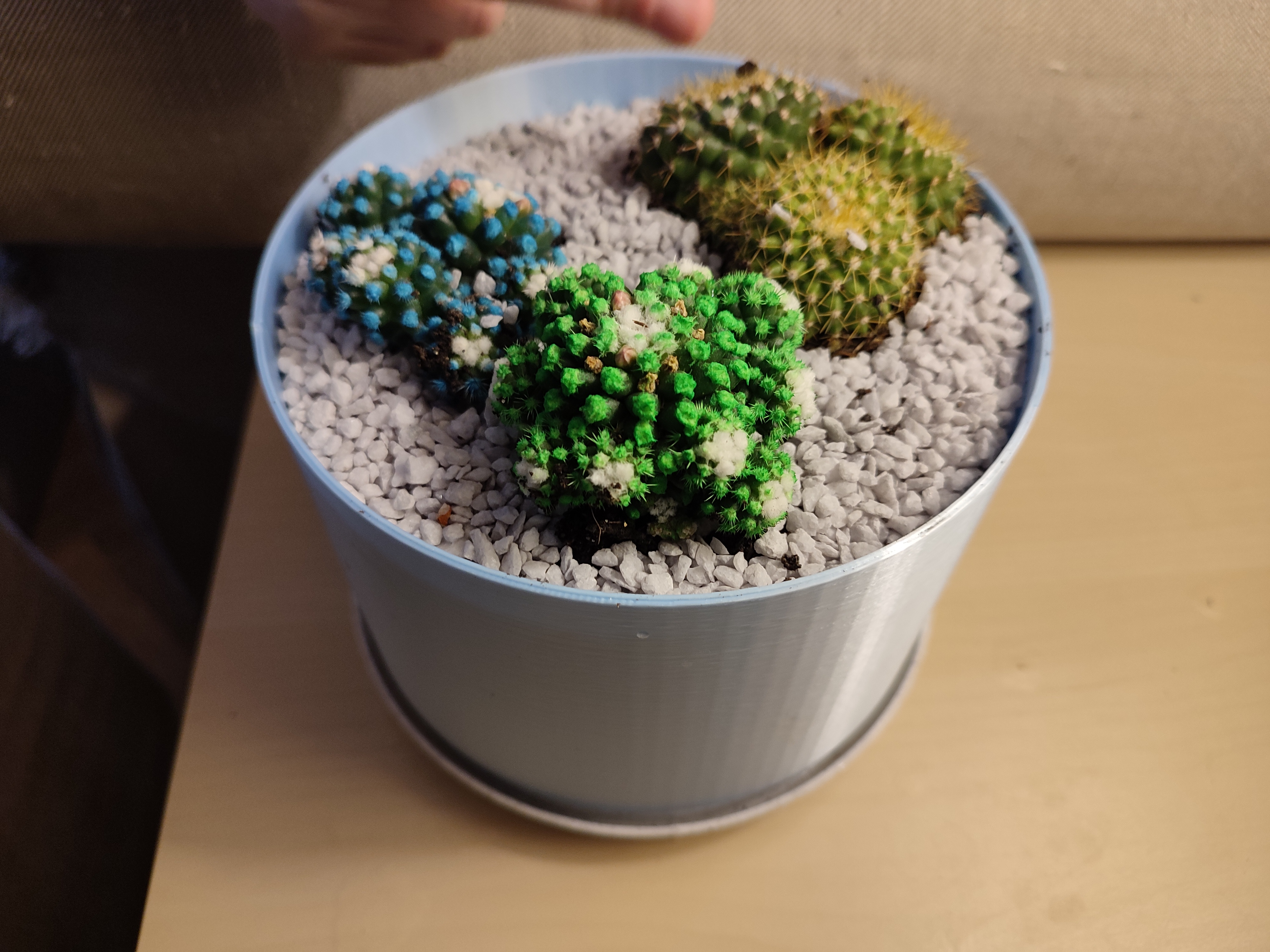Pot with drainage plate