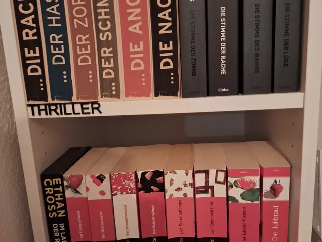 Bookshelf Marker Decoration Genre/Author