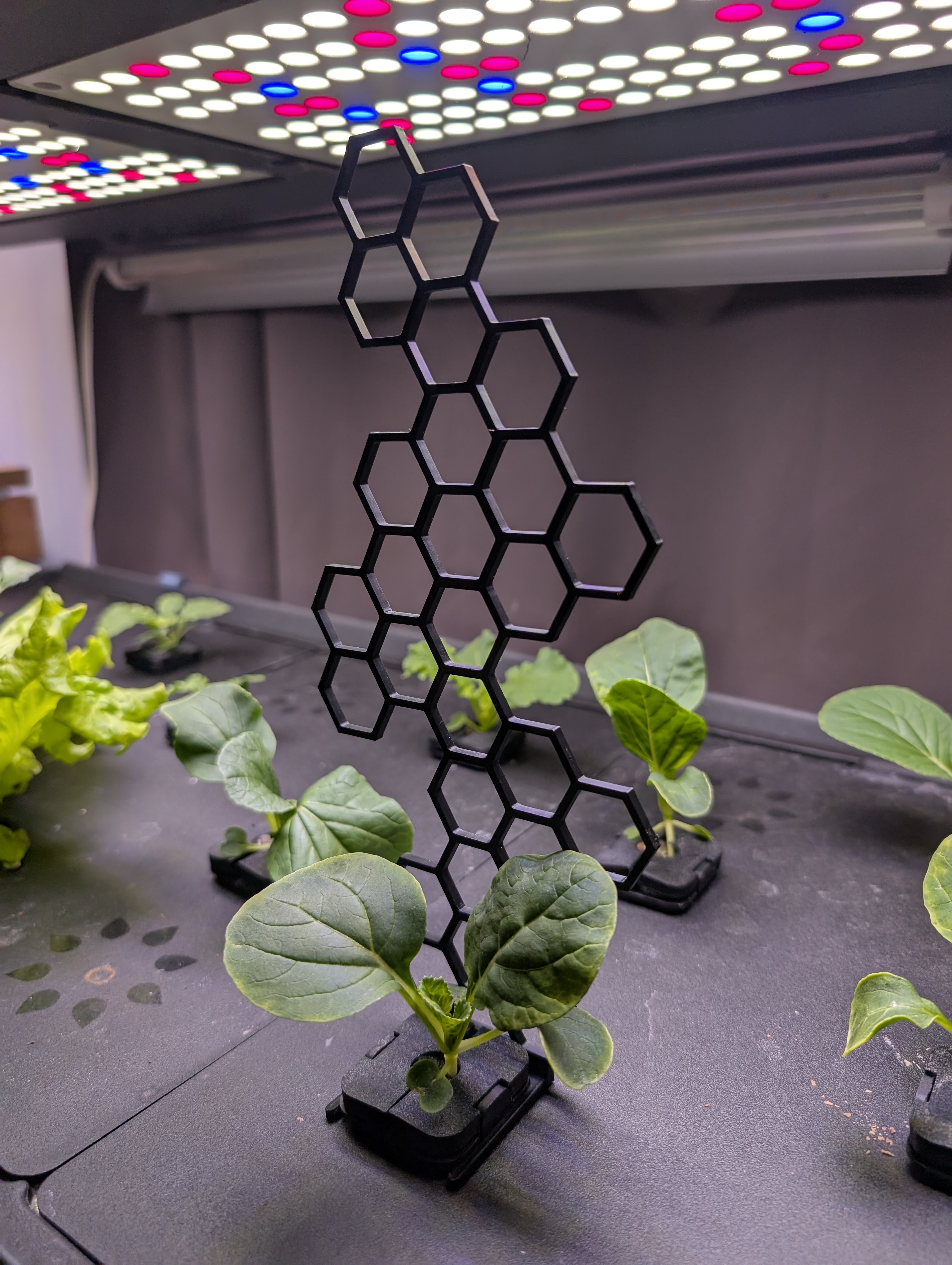 Rise Garden Plant Support Trellis