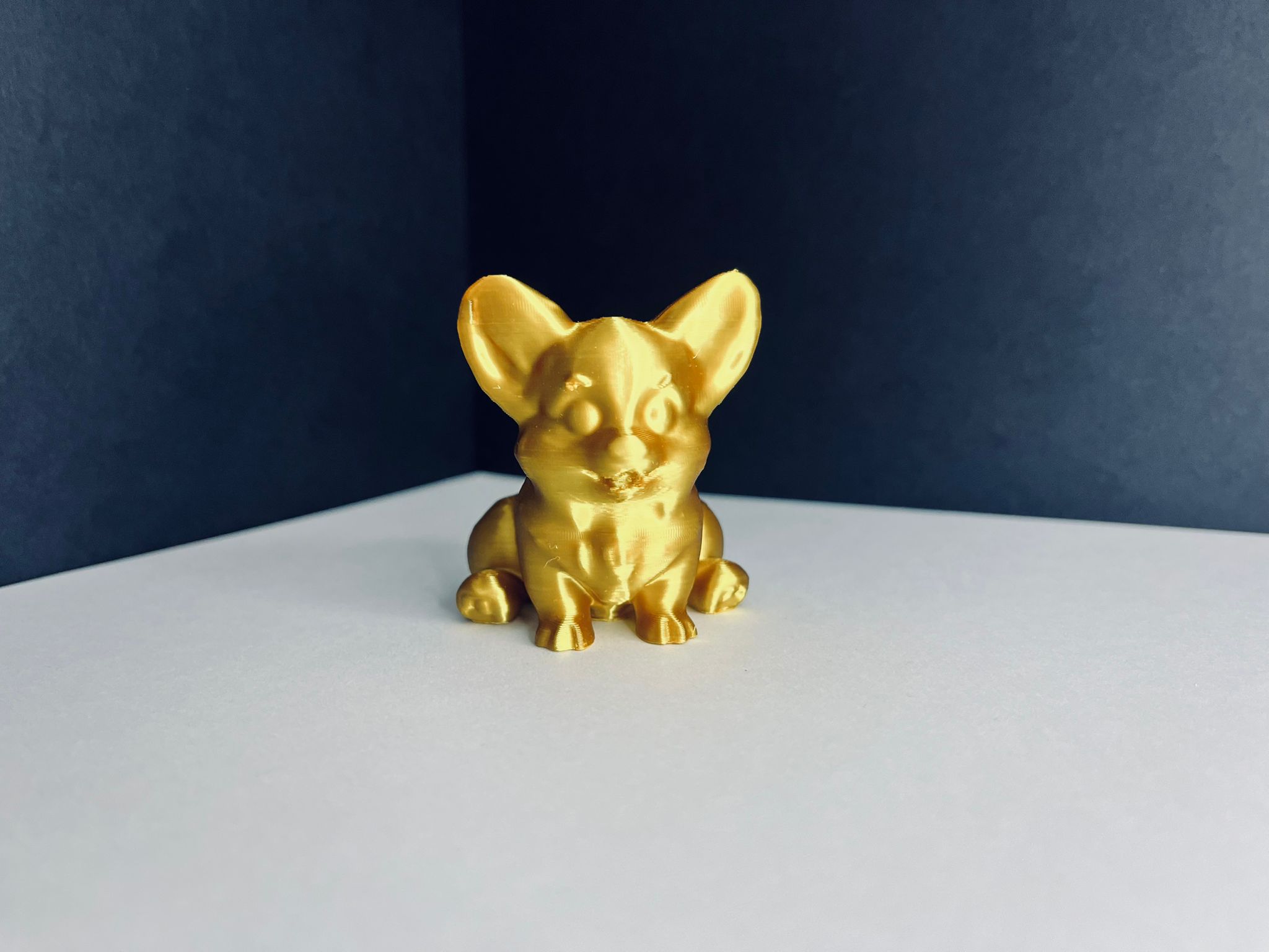 Dog-dog corgi dog