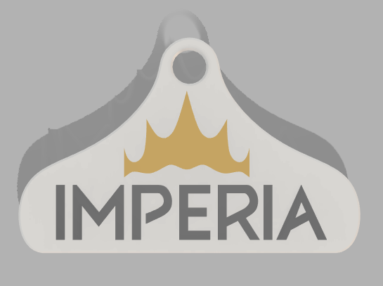 Imperia Keychain
