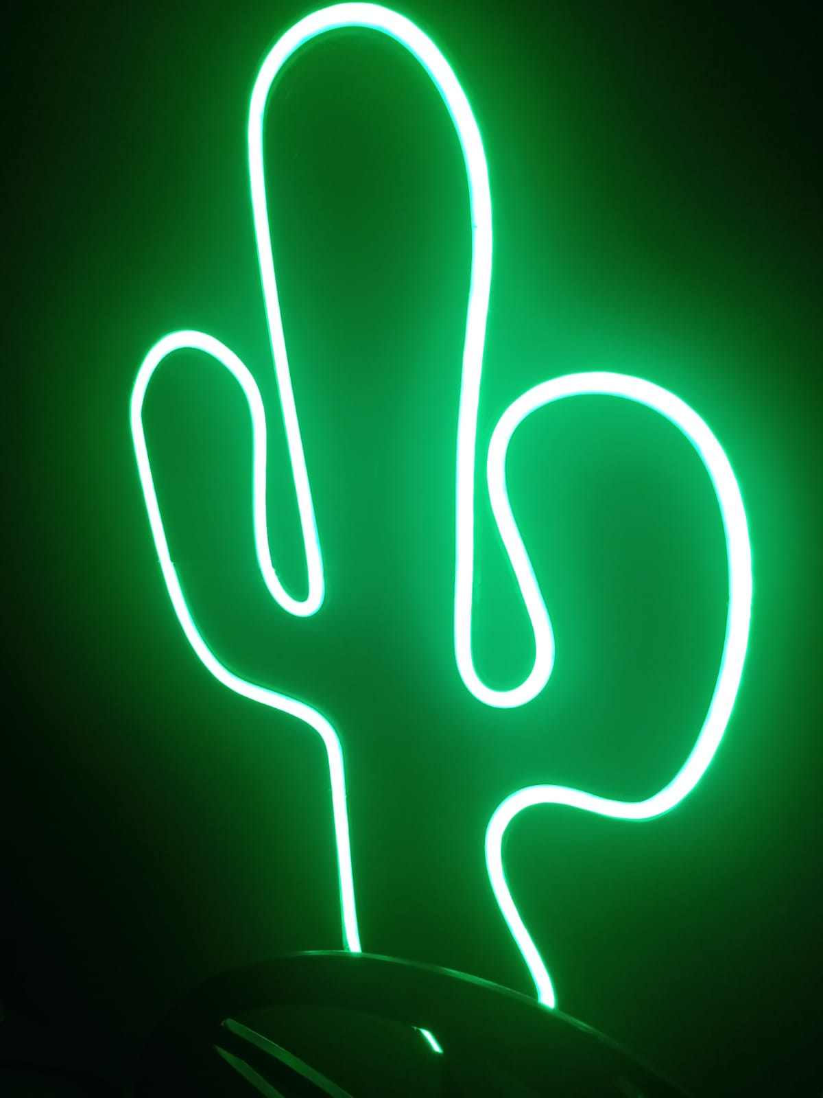 Cactus LED sign