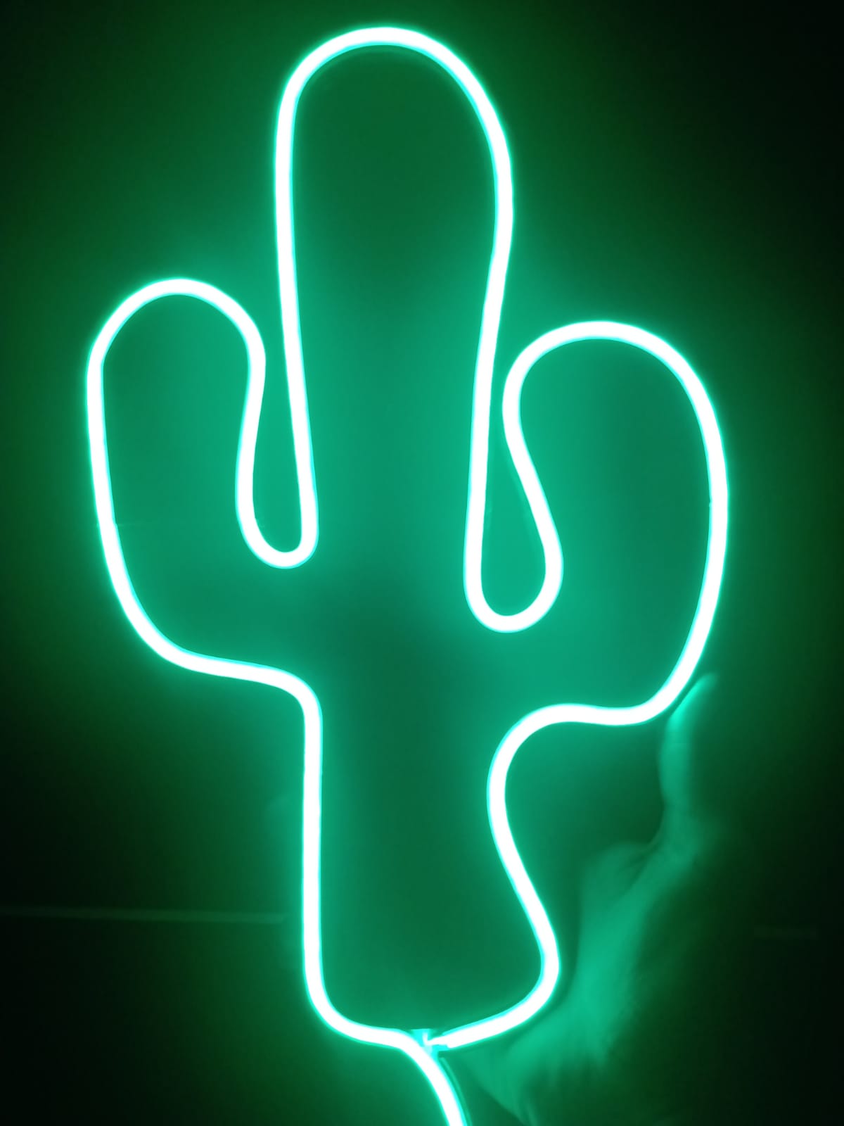 Cactus LED sign — miniatura 2
