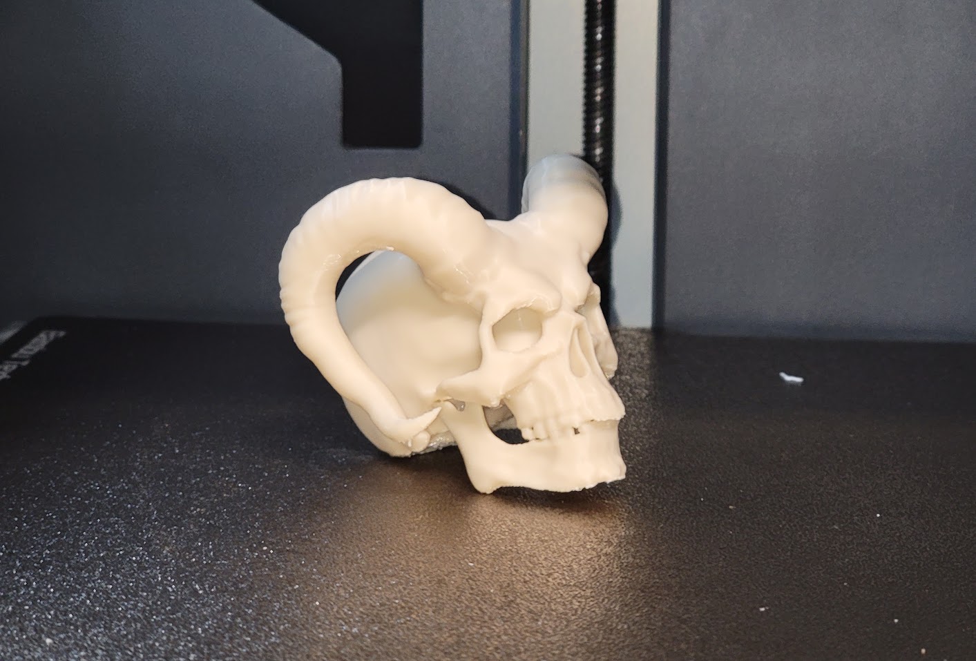 Horned Demon Skull