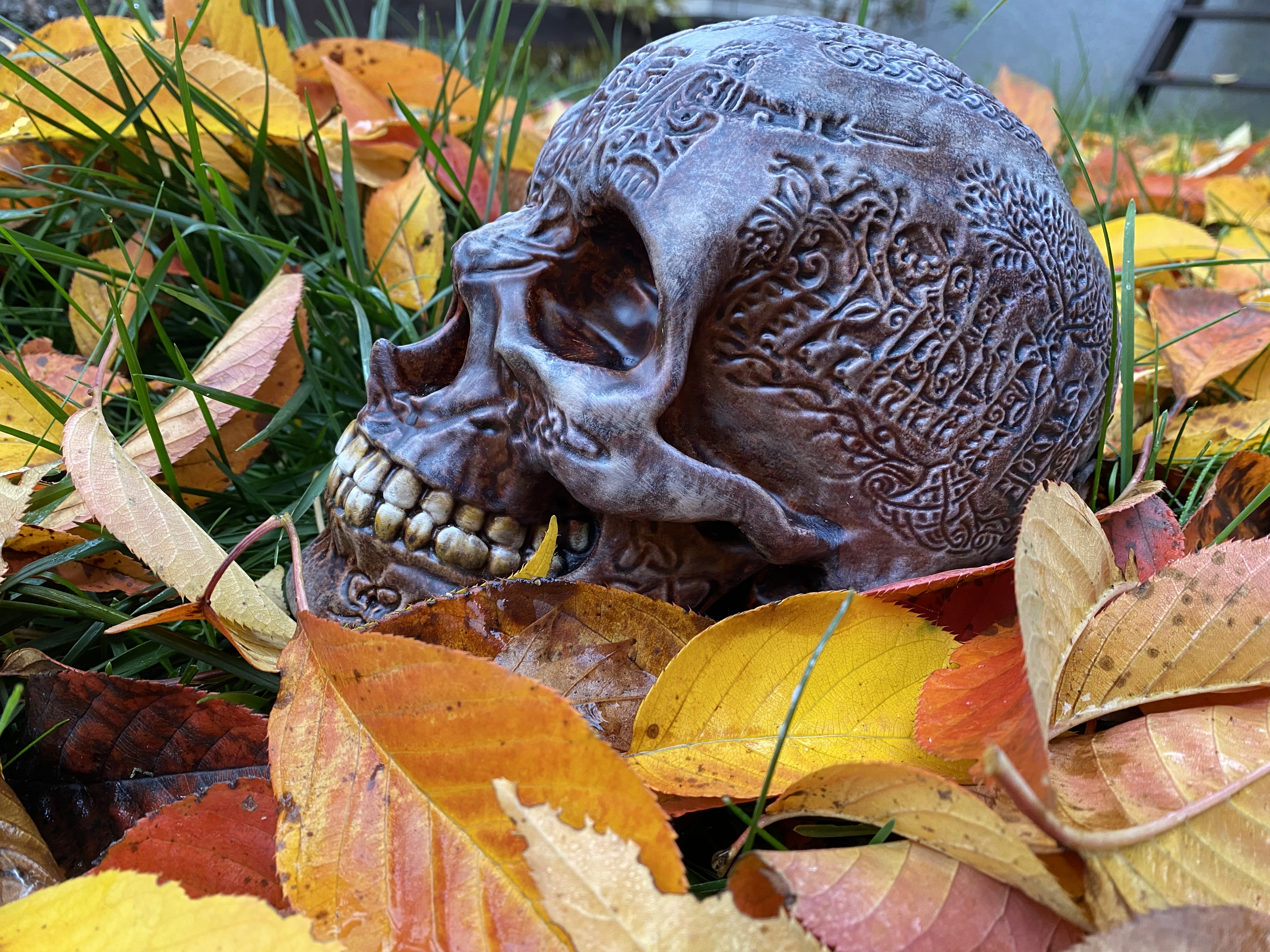 Miniatura 4 do modelo 3D Celtic Skull