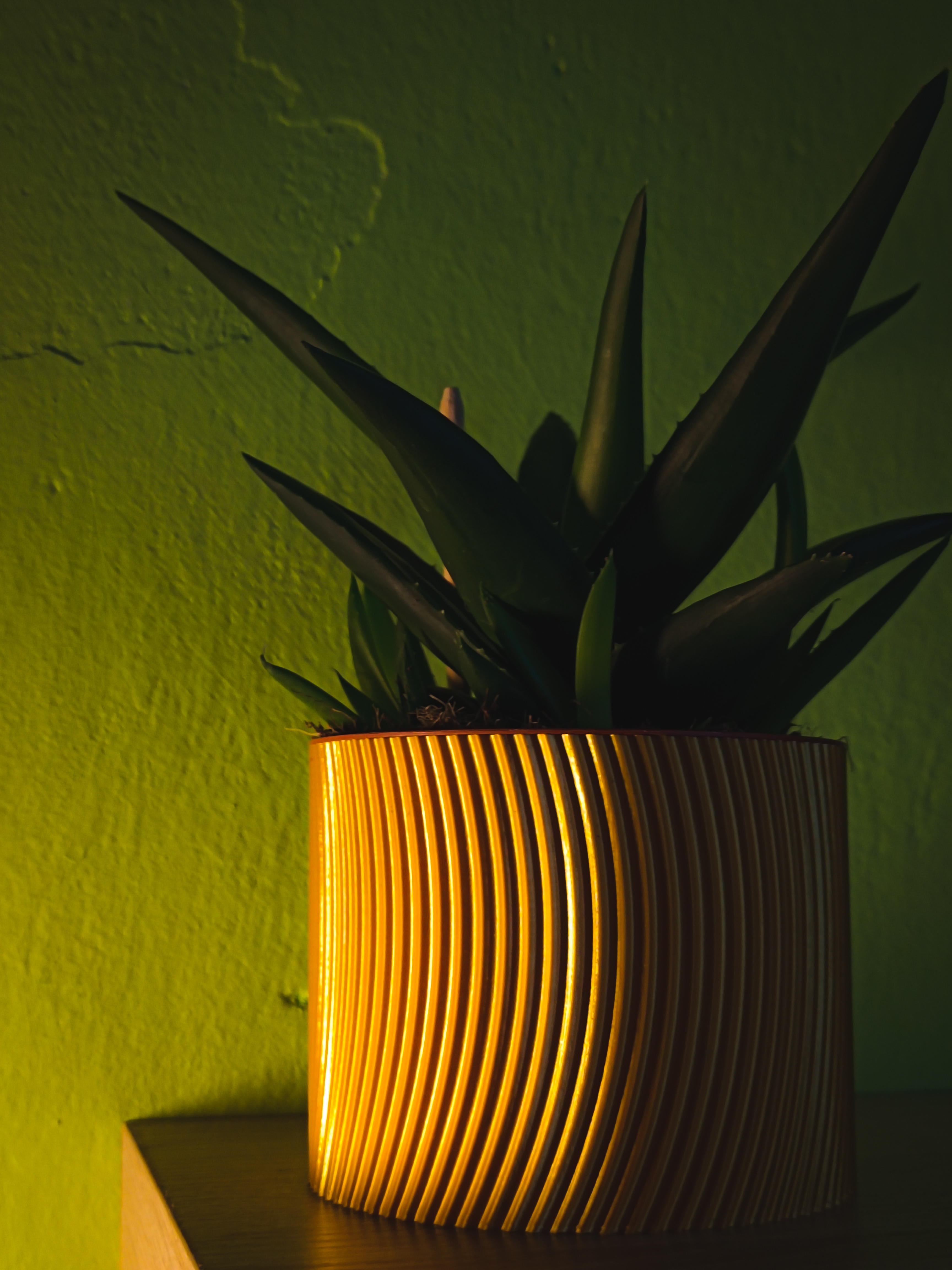 VASE MODE FLOWER POT - 1