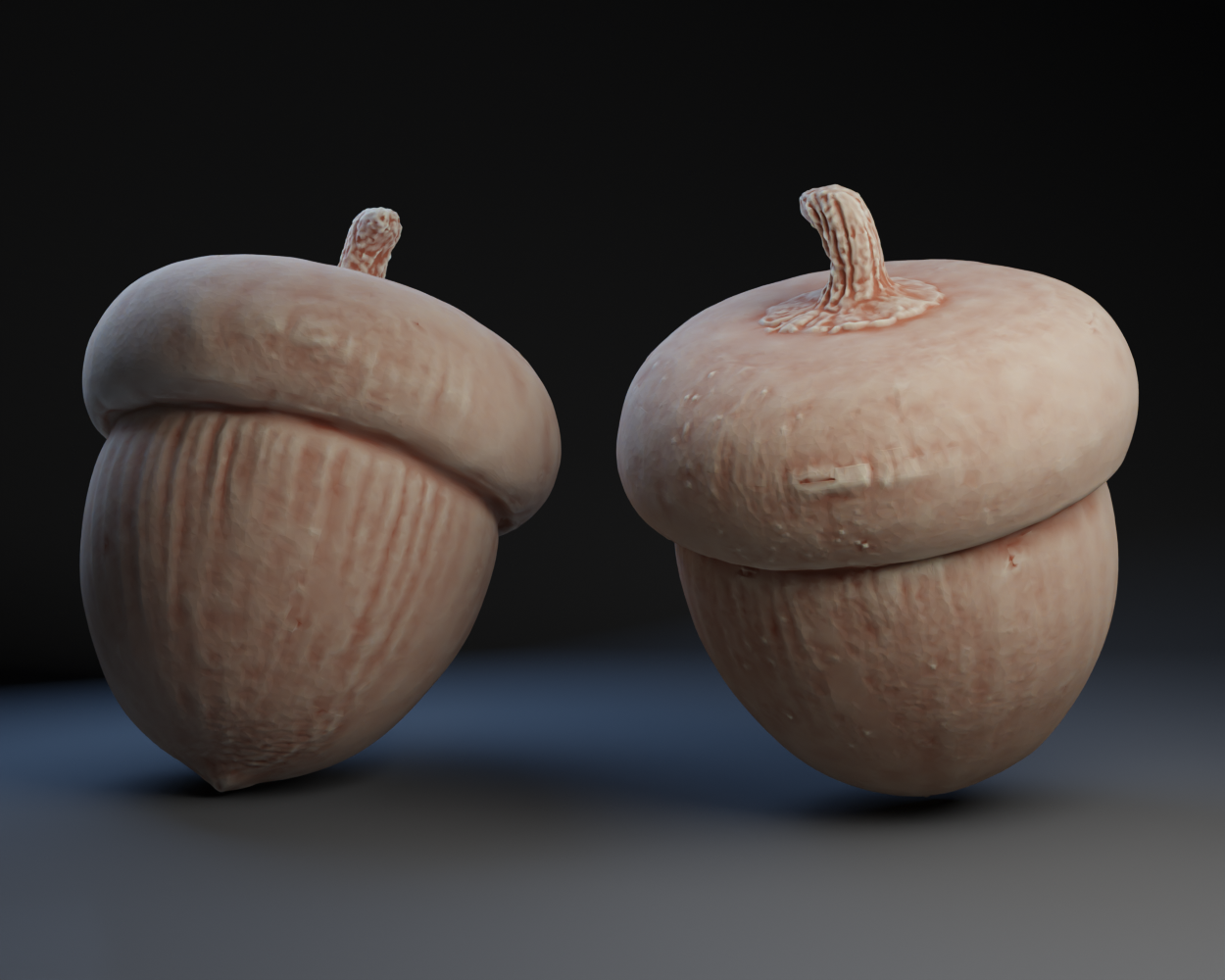 Acorn