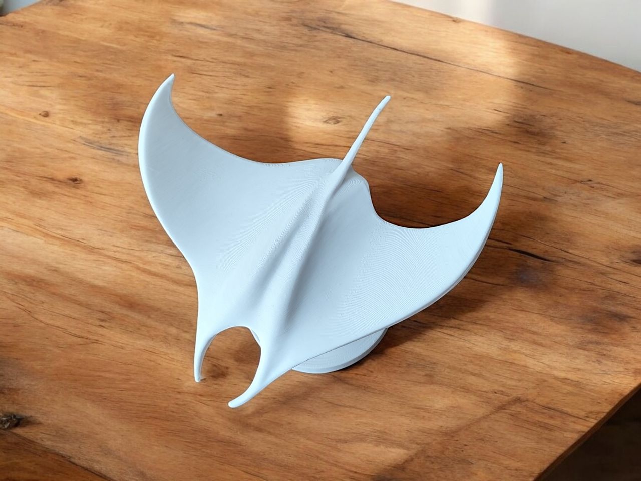 "Manta" heykel (Sadece Plastik Aparattır!!!)