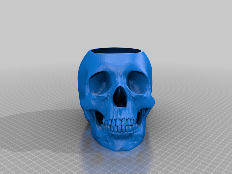 Human Skull Pot - With Drainage Hole