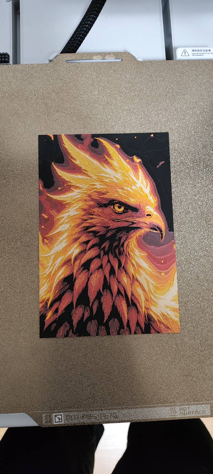 Phoenix 10x15cm - hueforge