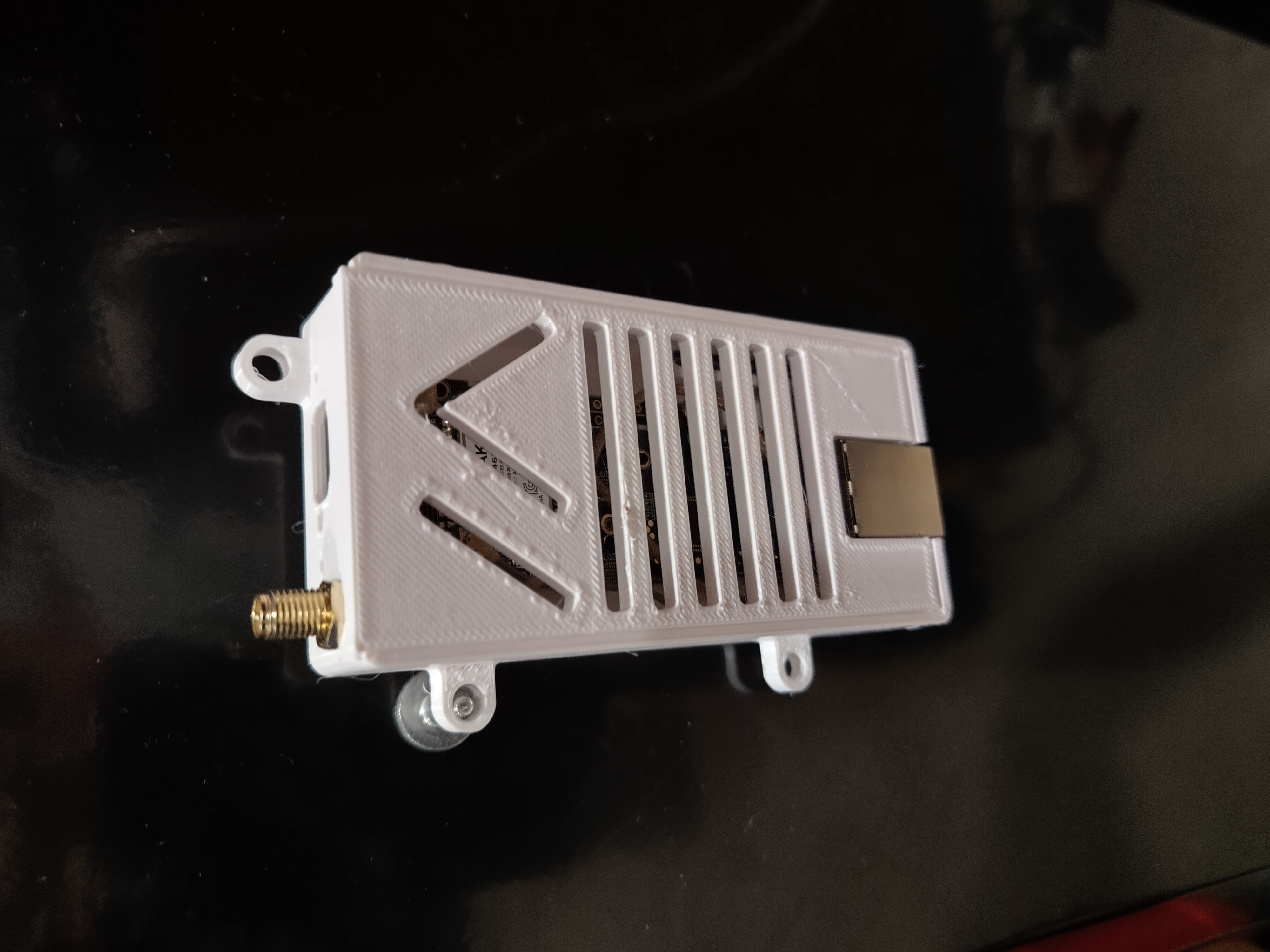 Meshtastic / Rak Wireless 19007 ethernet case