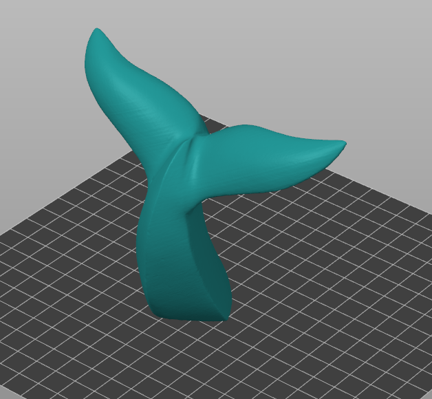 Dolphin fin — thumbnail 2