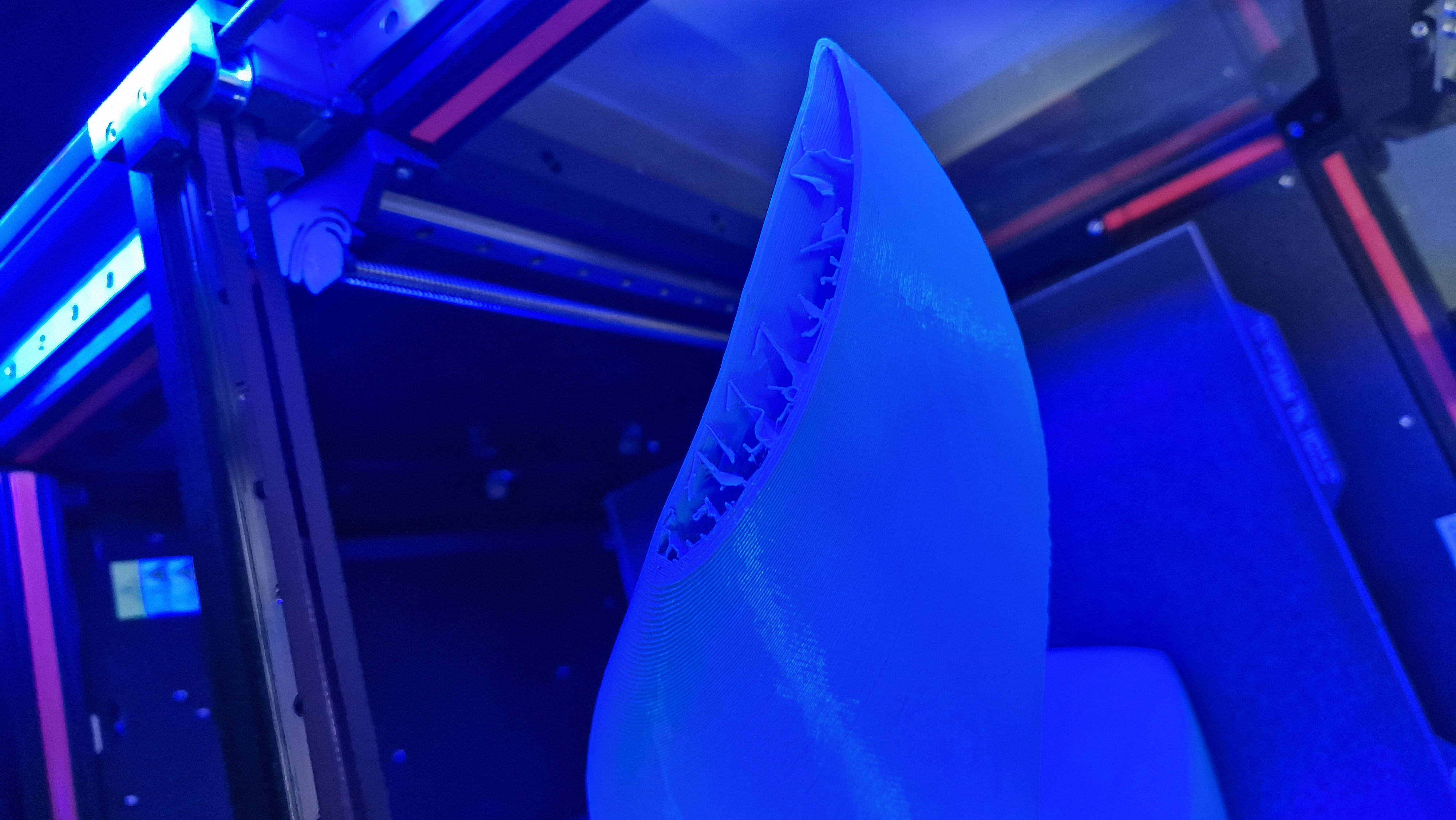 Dolphin fin — thumbnail 4