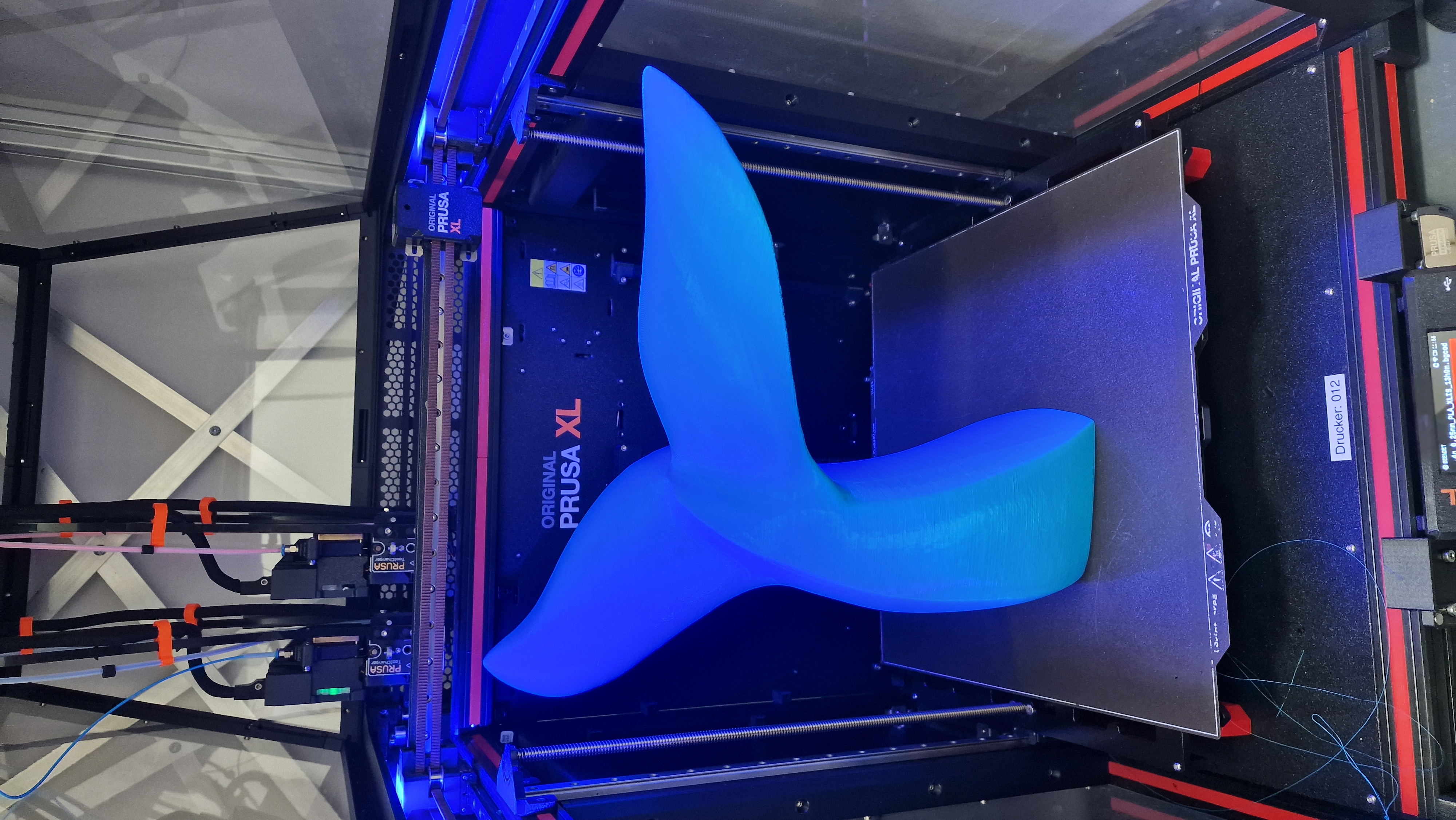 Dolphin fin