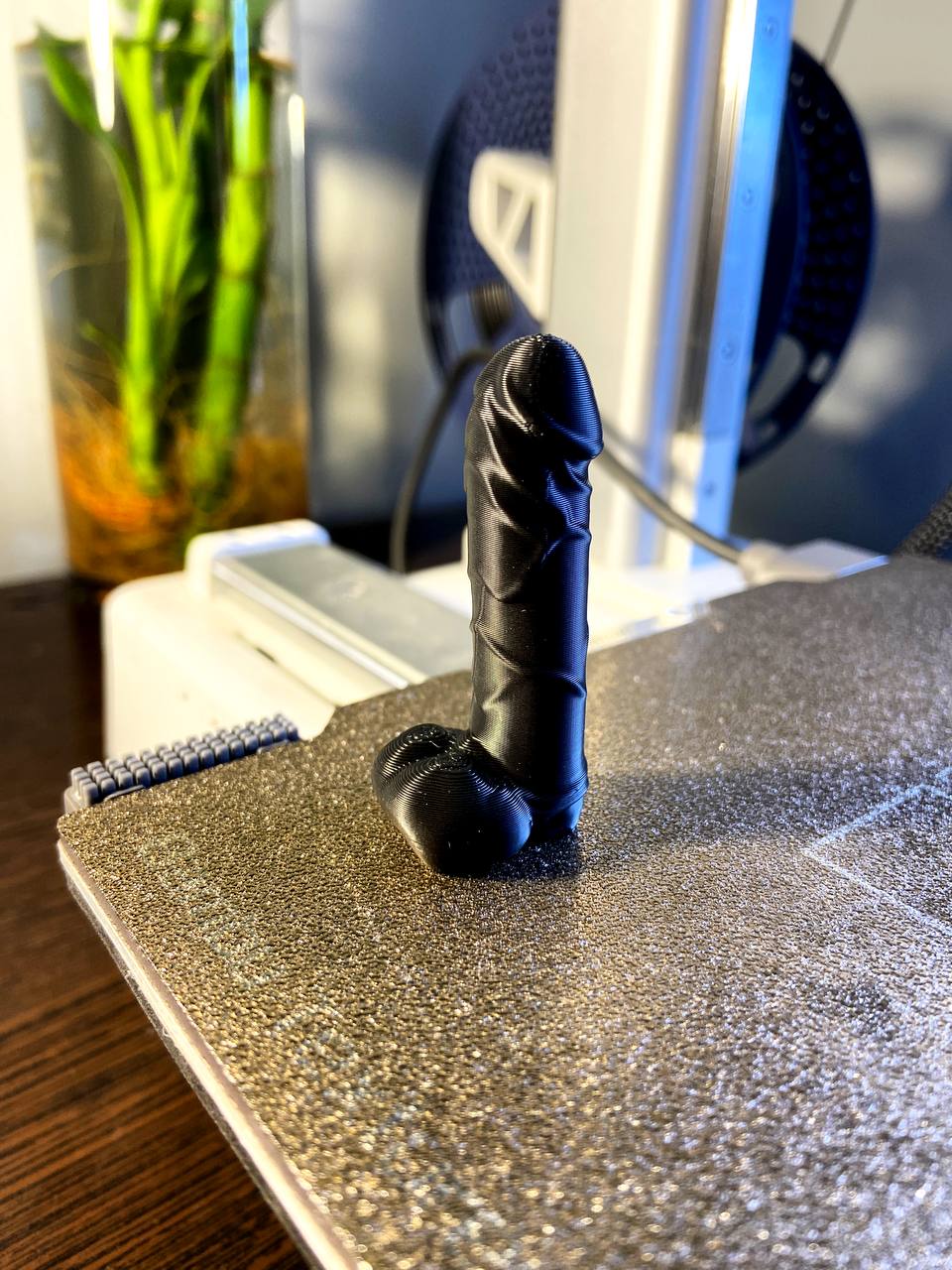 Penis | Dick