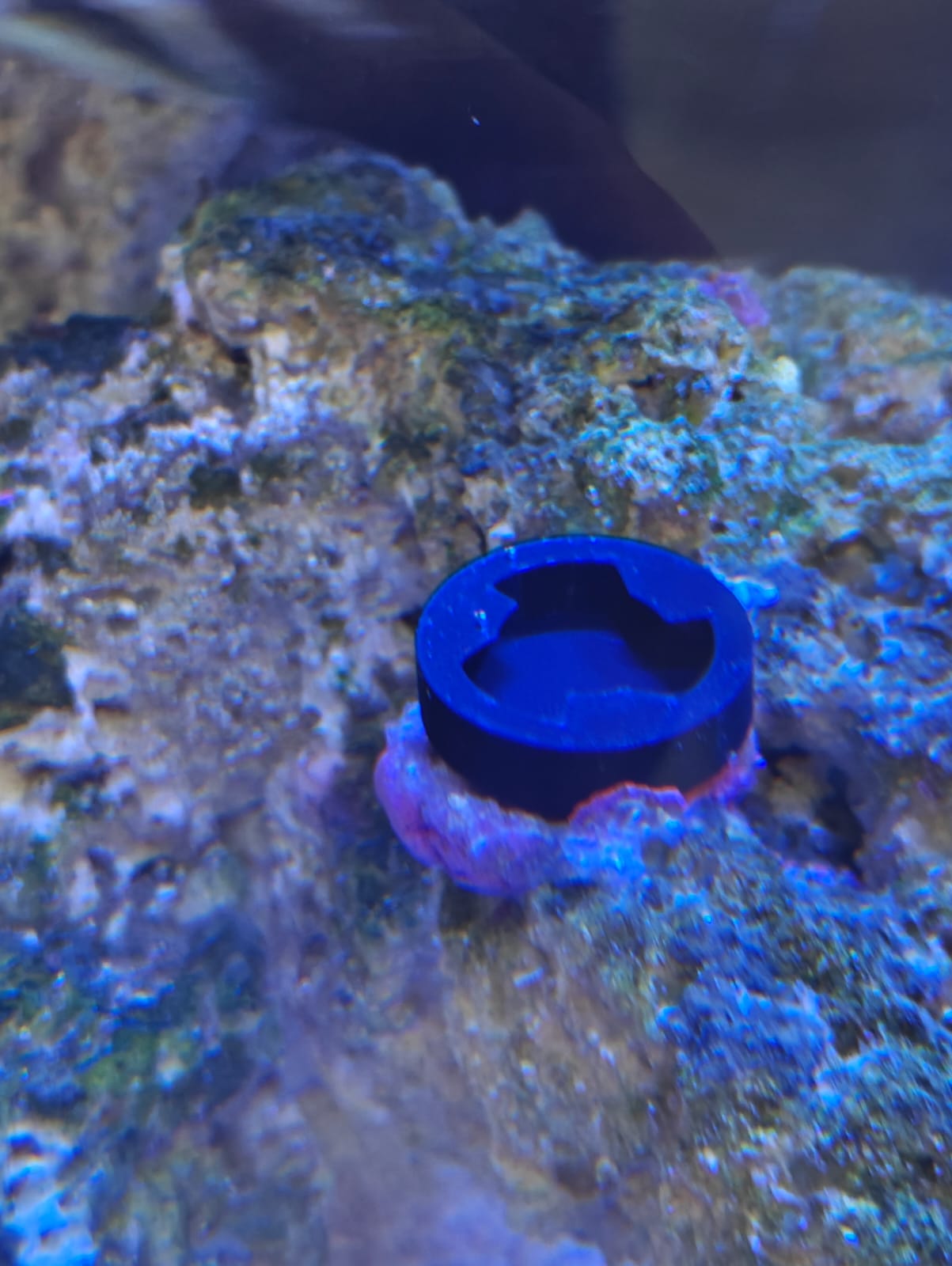 Twist Lock Removable Coral Frag Plug for Reef Tank 3D model thumbnail